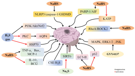 Therapeutic Potential of Hydrogen Sulfide in Ischemia and