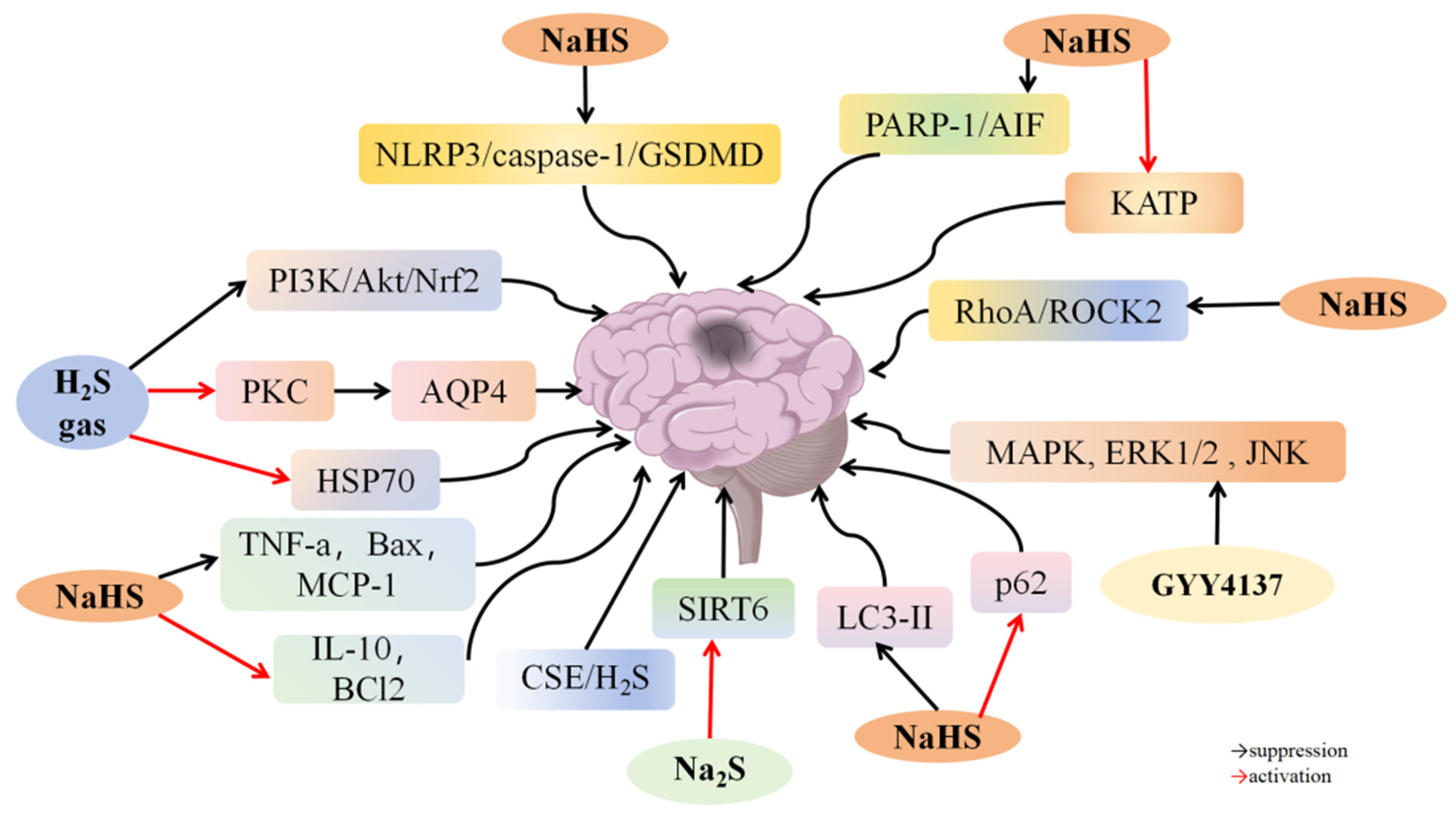 Biomolecules 14 00740 g003
