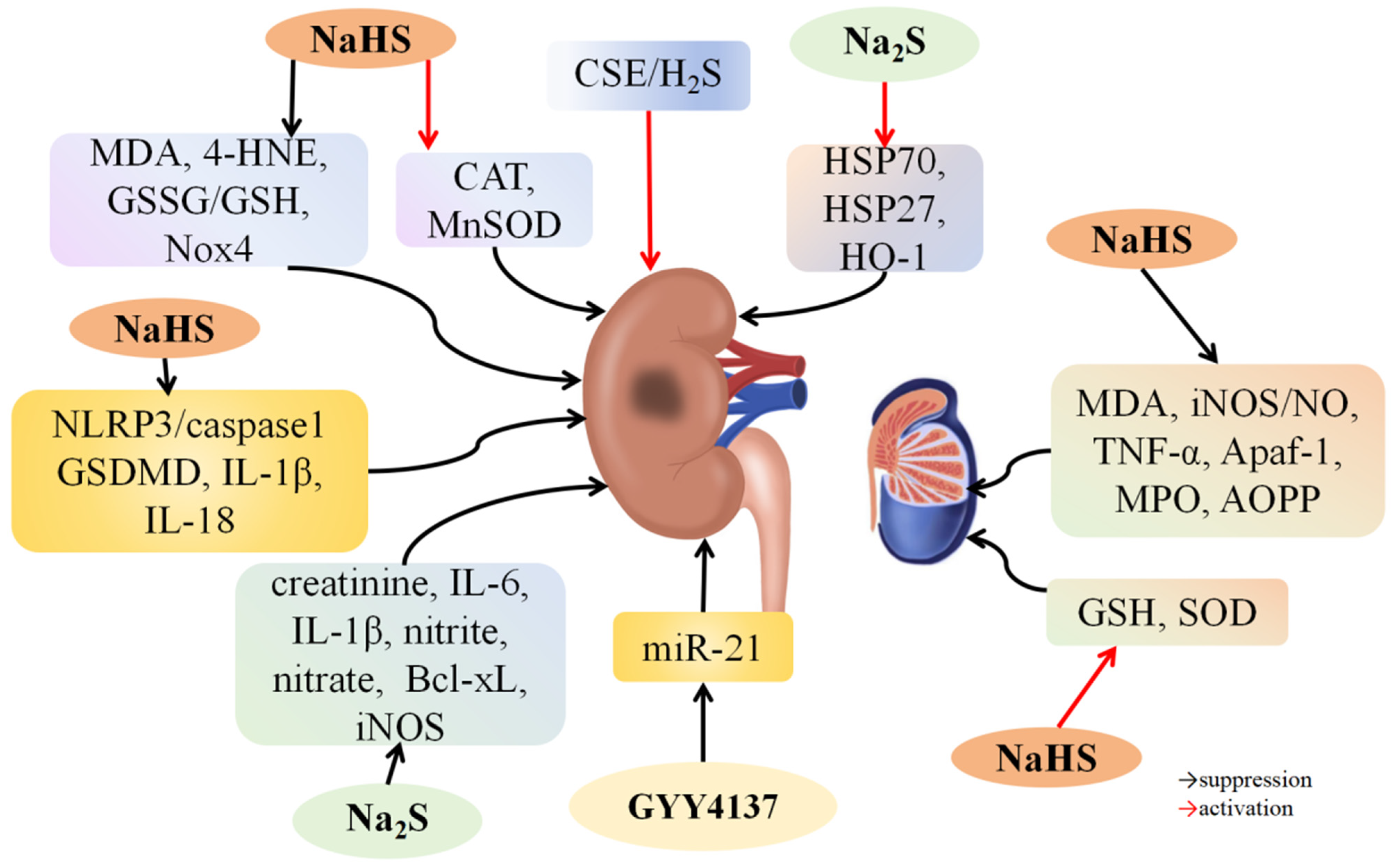 Biomolecules 14 00740 g005