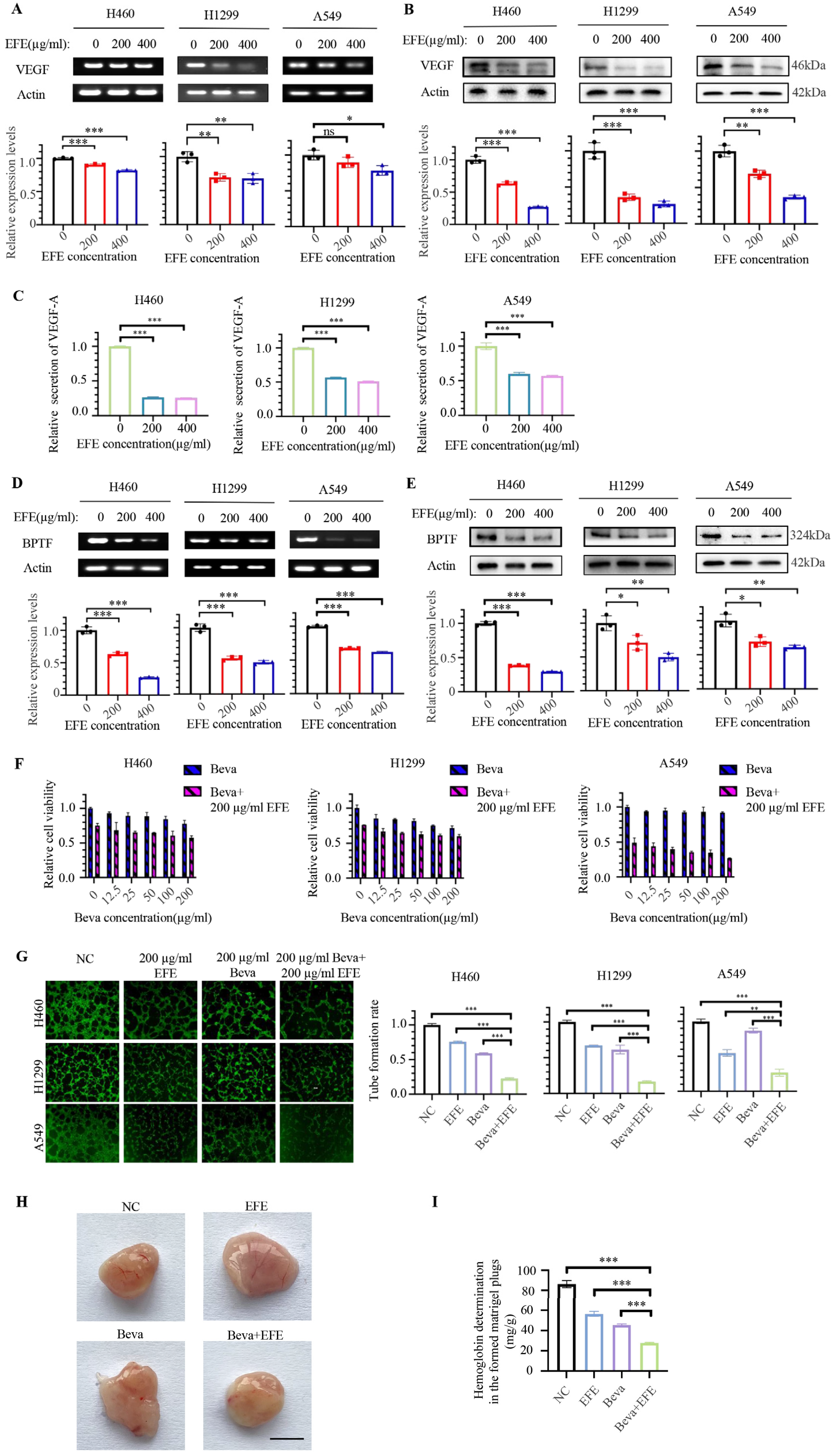 Biomolecules 14 00741 g002