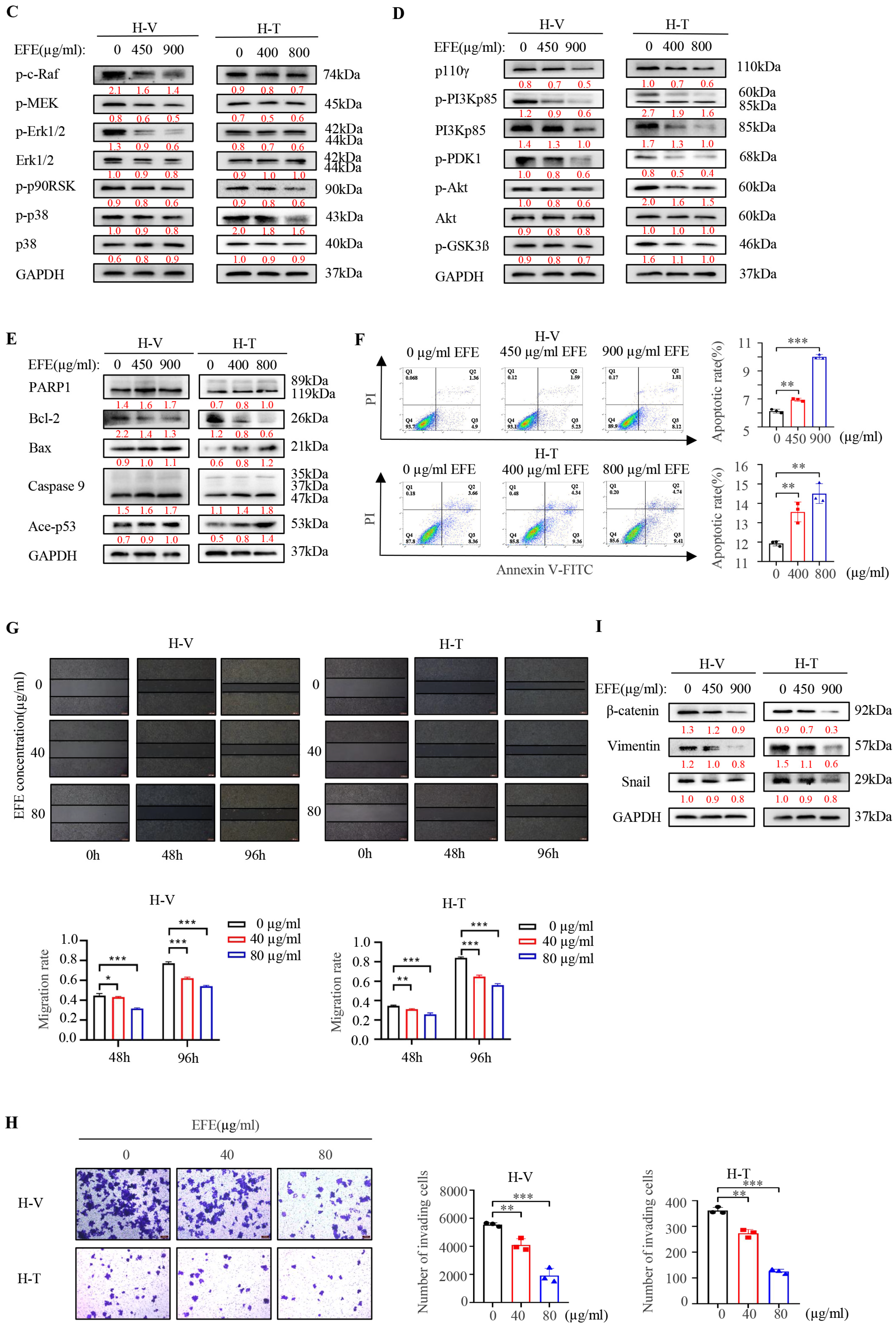 Biomolecules 14 00741 g004b