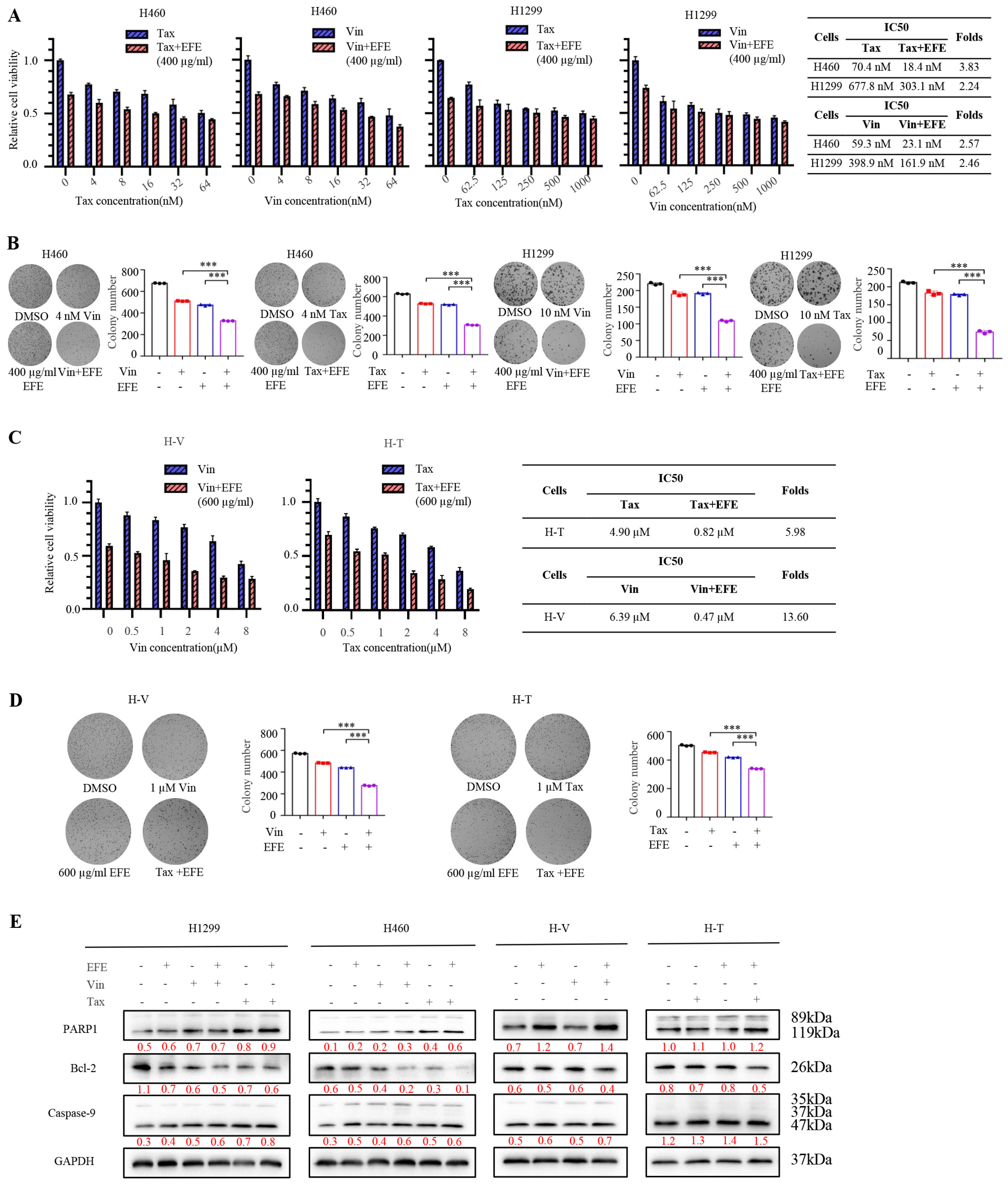 Biomolecules 14 00741 g005a