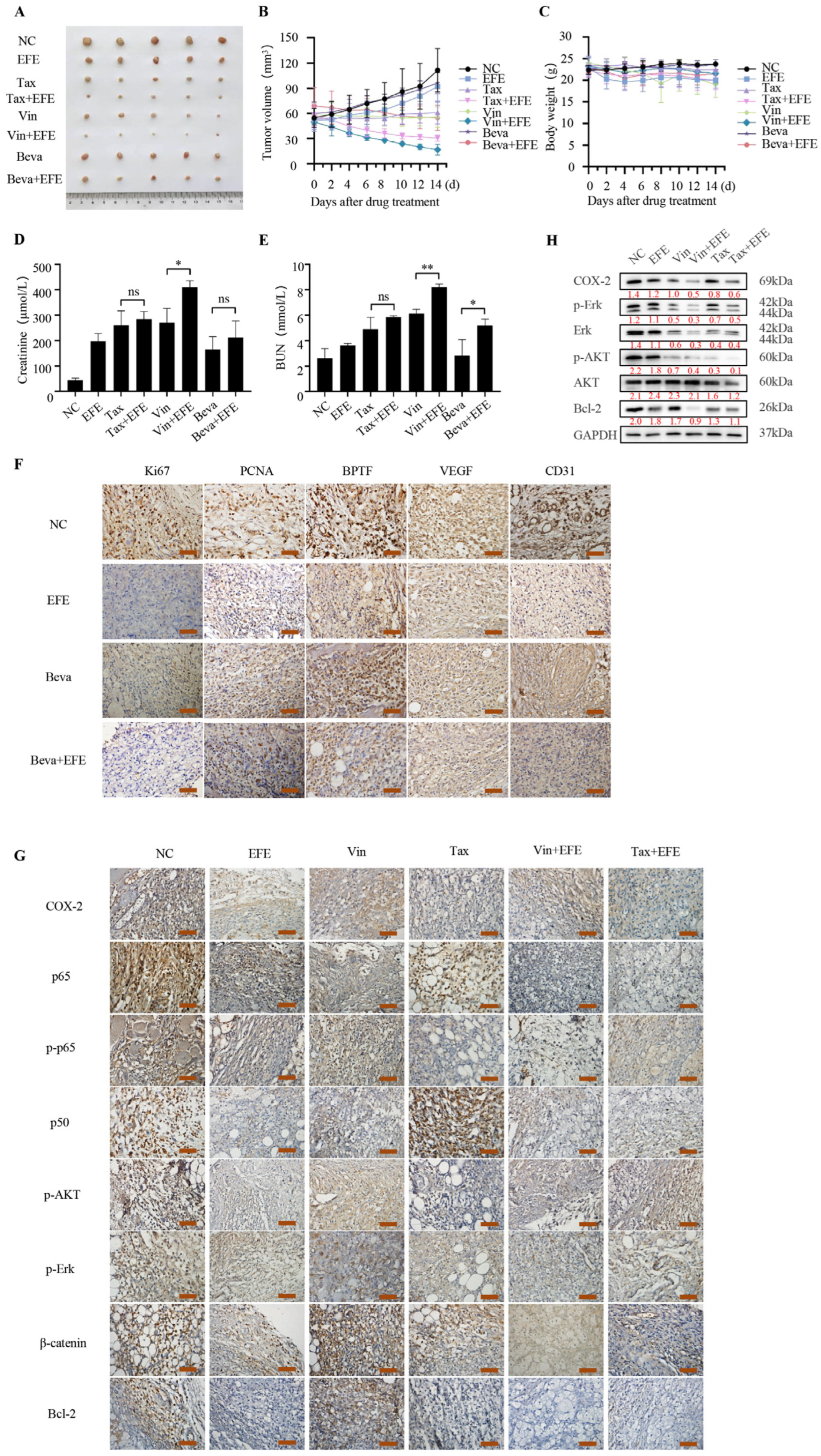 Biomolecules 14 00741 g007