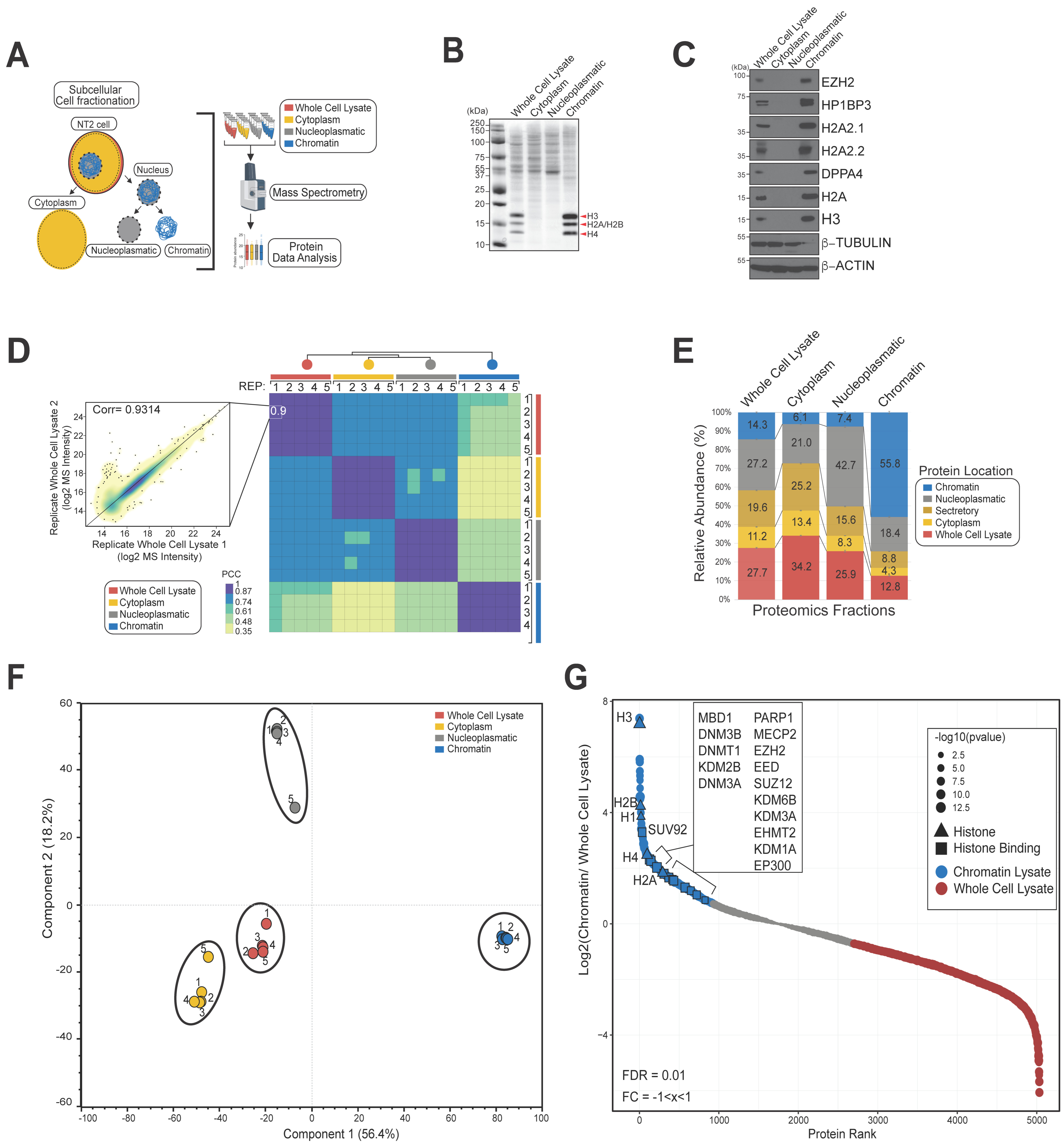 Biomolecules 14 00747 g001