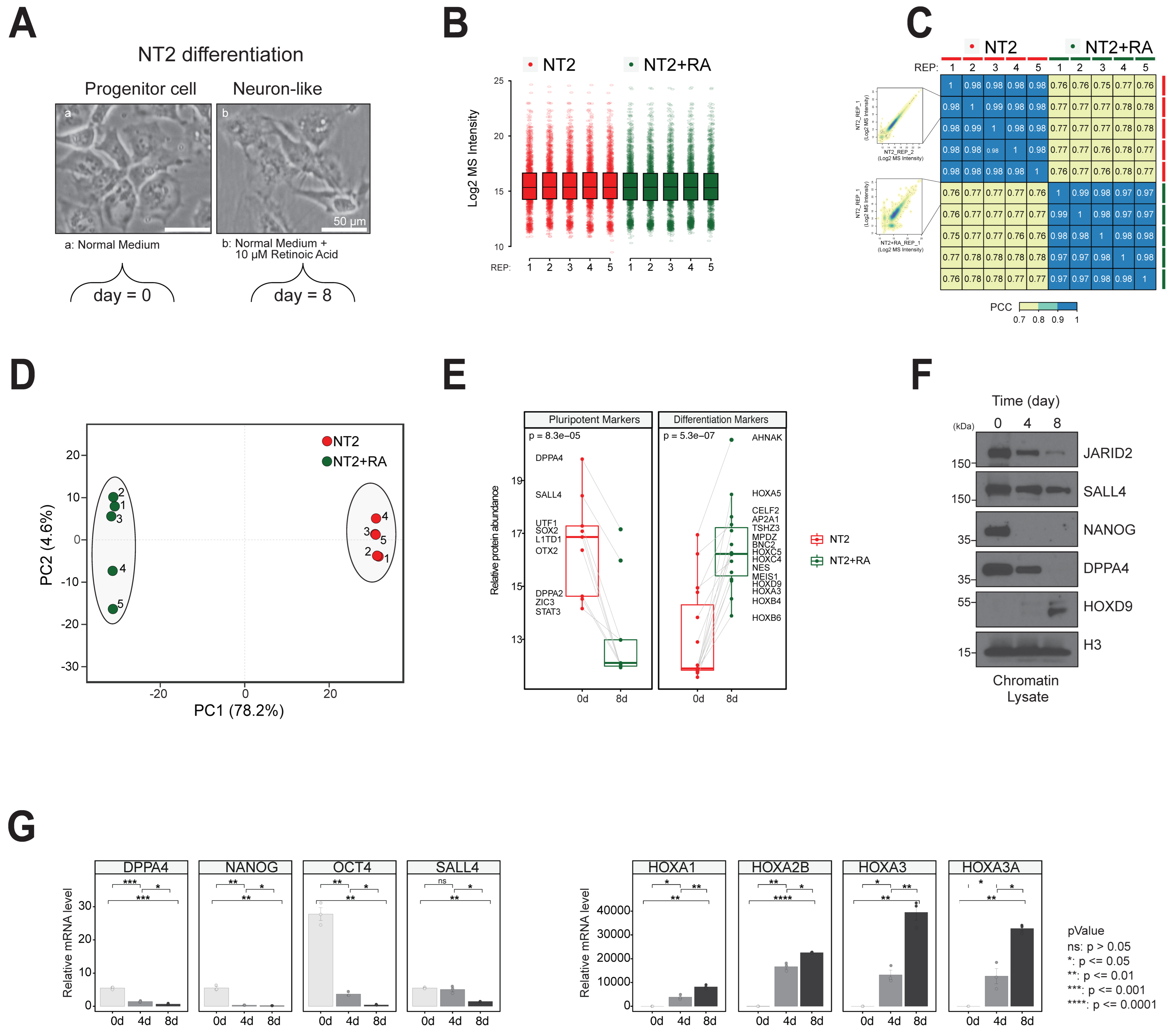 Biomolecules 14 00747 g003
