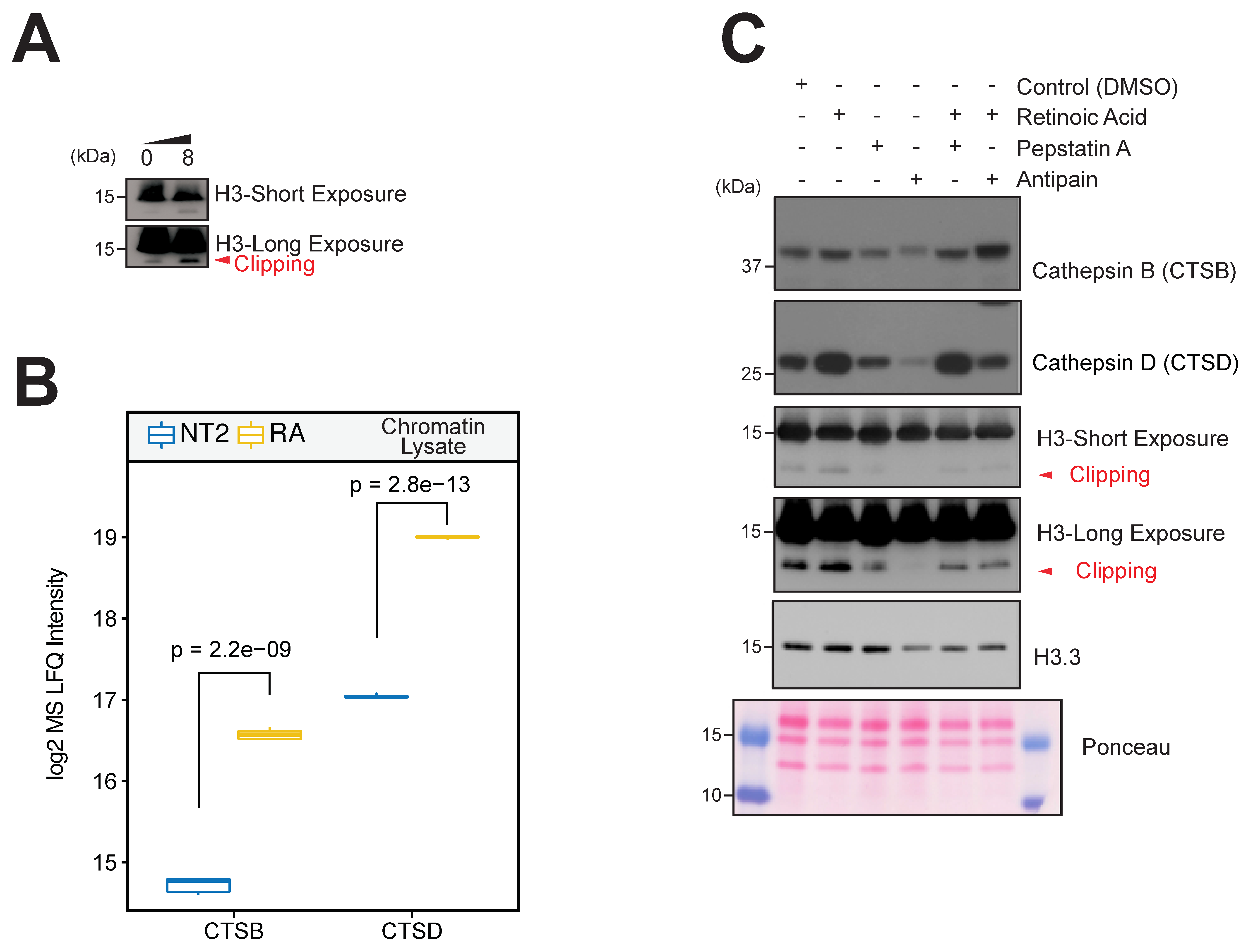 Biomolecules 14 00747 g007