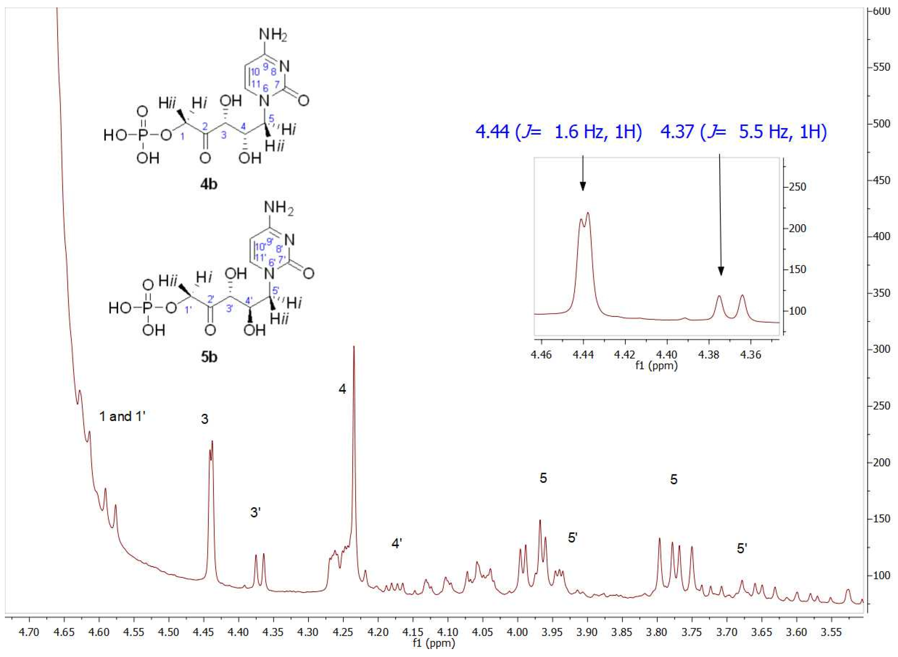 Biomolecules 14 00750 g008 Biomolecules 14 00750 g008