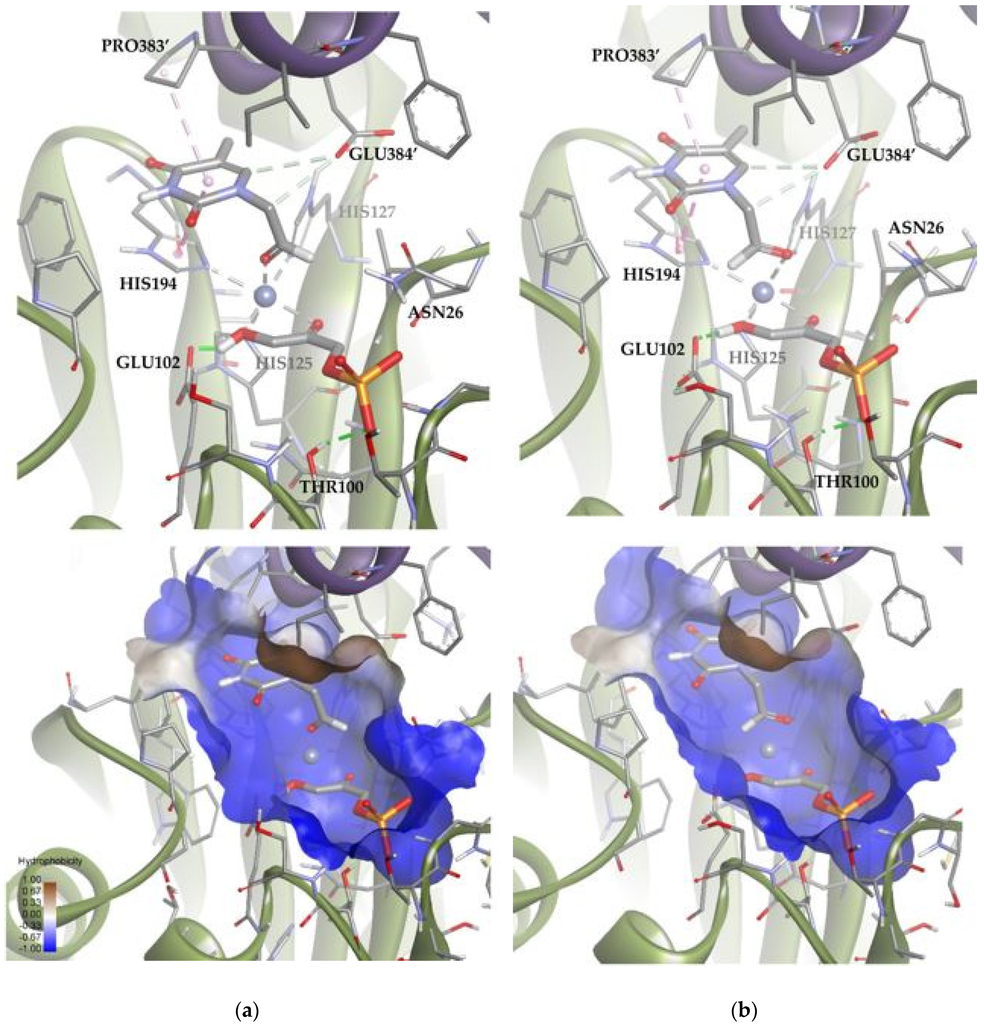 Biomolecules 14 00750 g012 Biomolecules 14 00750 g012