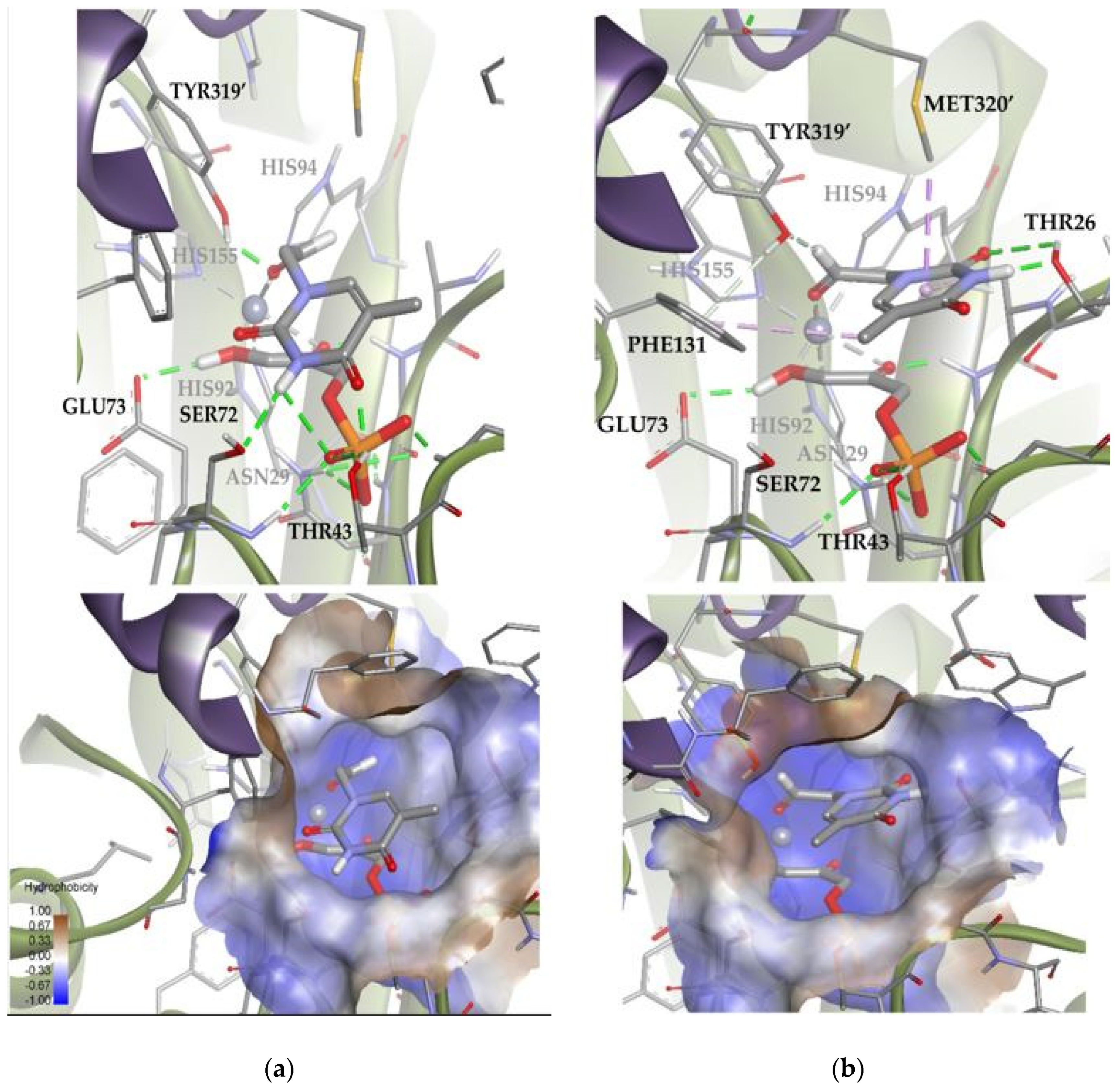 Biomolecules 14 00750 g014 Biomolecules 14 00750 g014