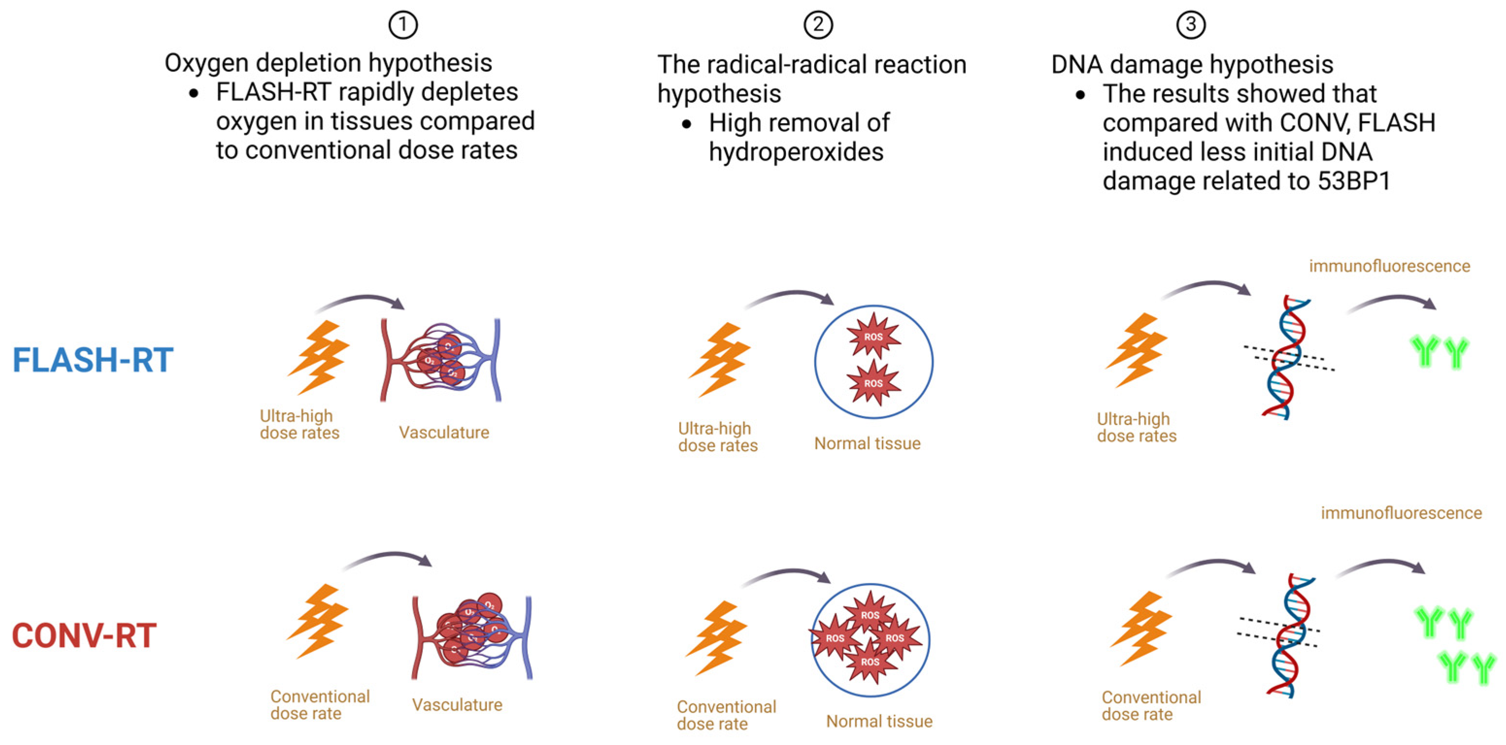 Biomolecules 14 00754 g002