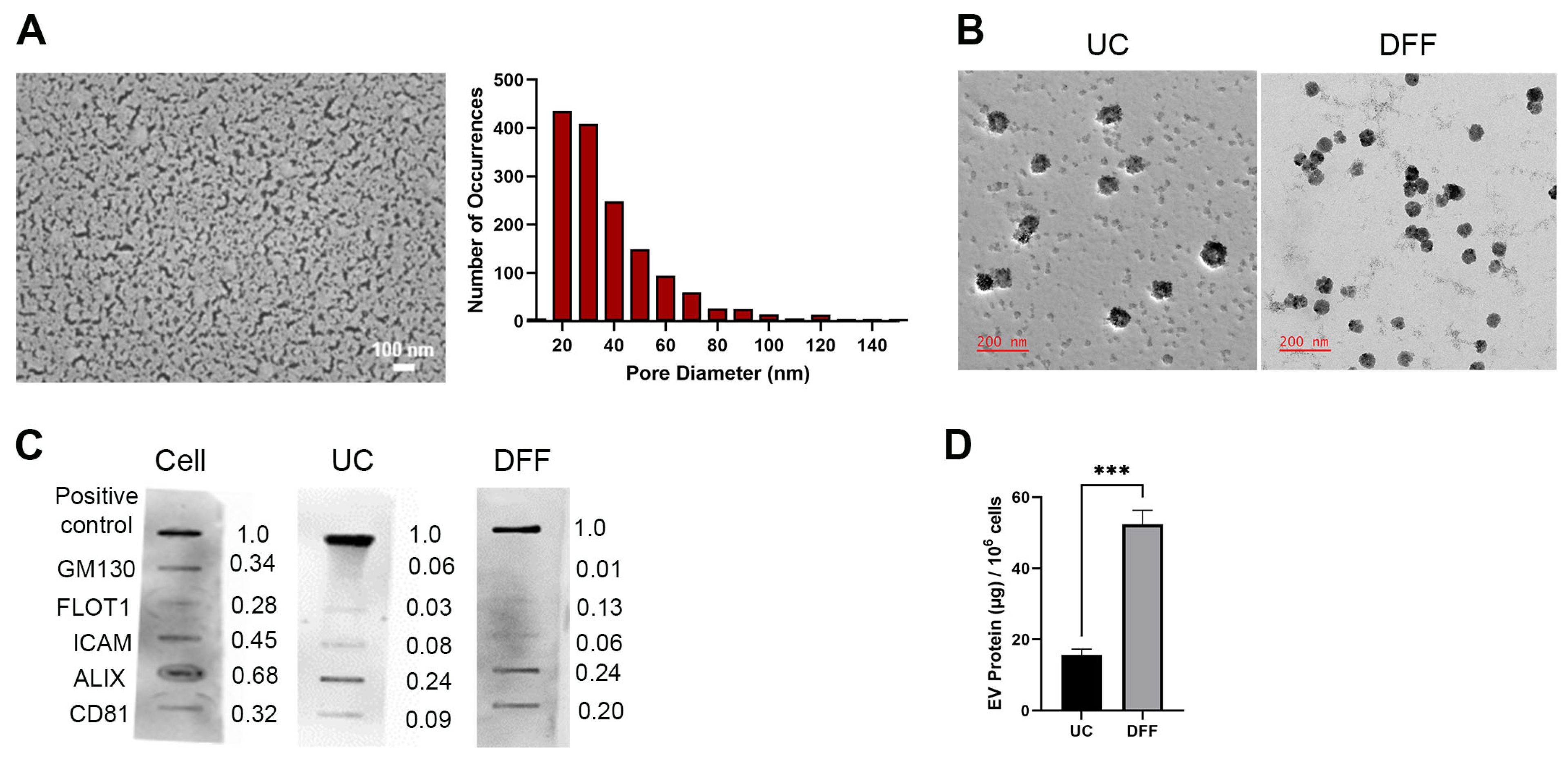 Biomolecules 14 00757 g001