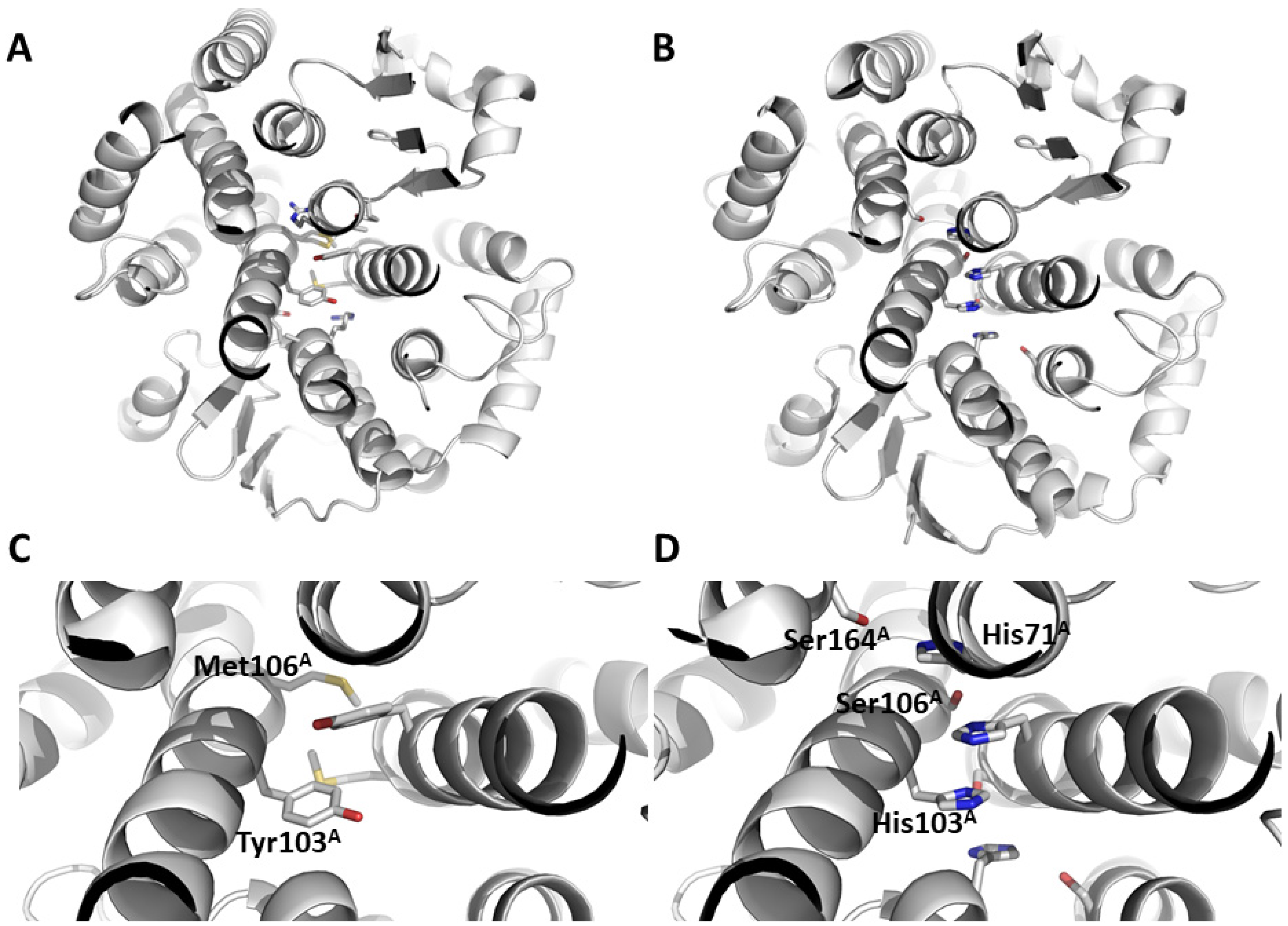 Biomolecules 14 00758 g001