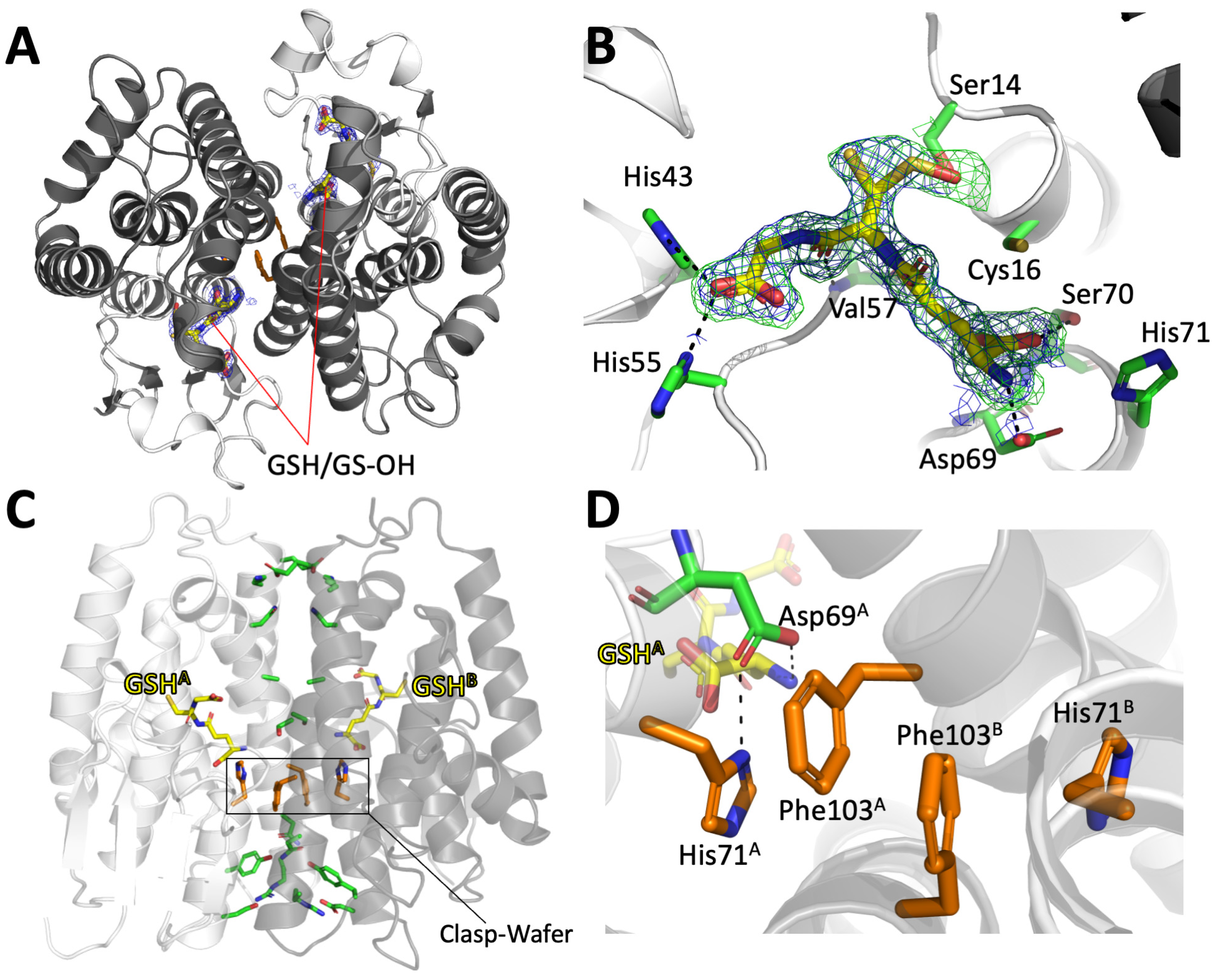 Biomolecules 14 00758 g003