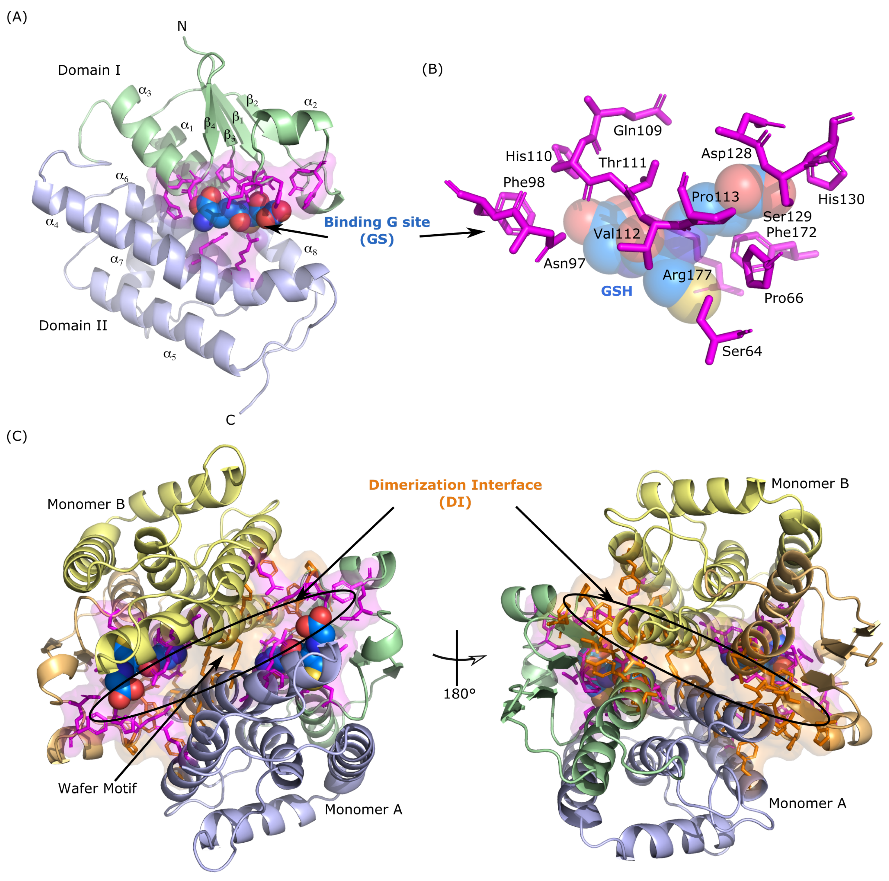 Biomolecules 14 00759 g001