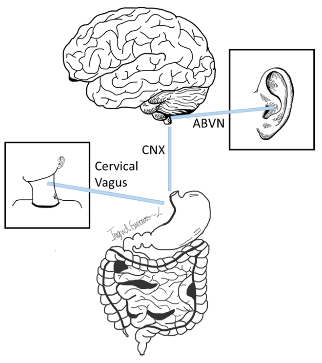 Biomolecules 14 00760 g001