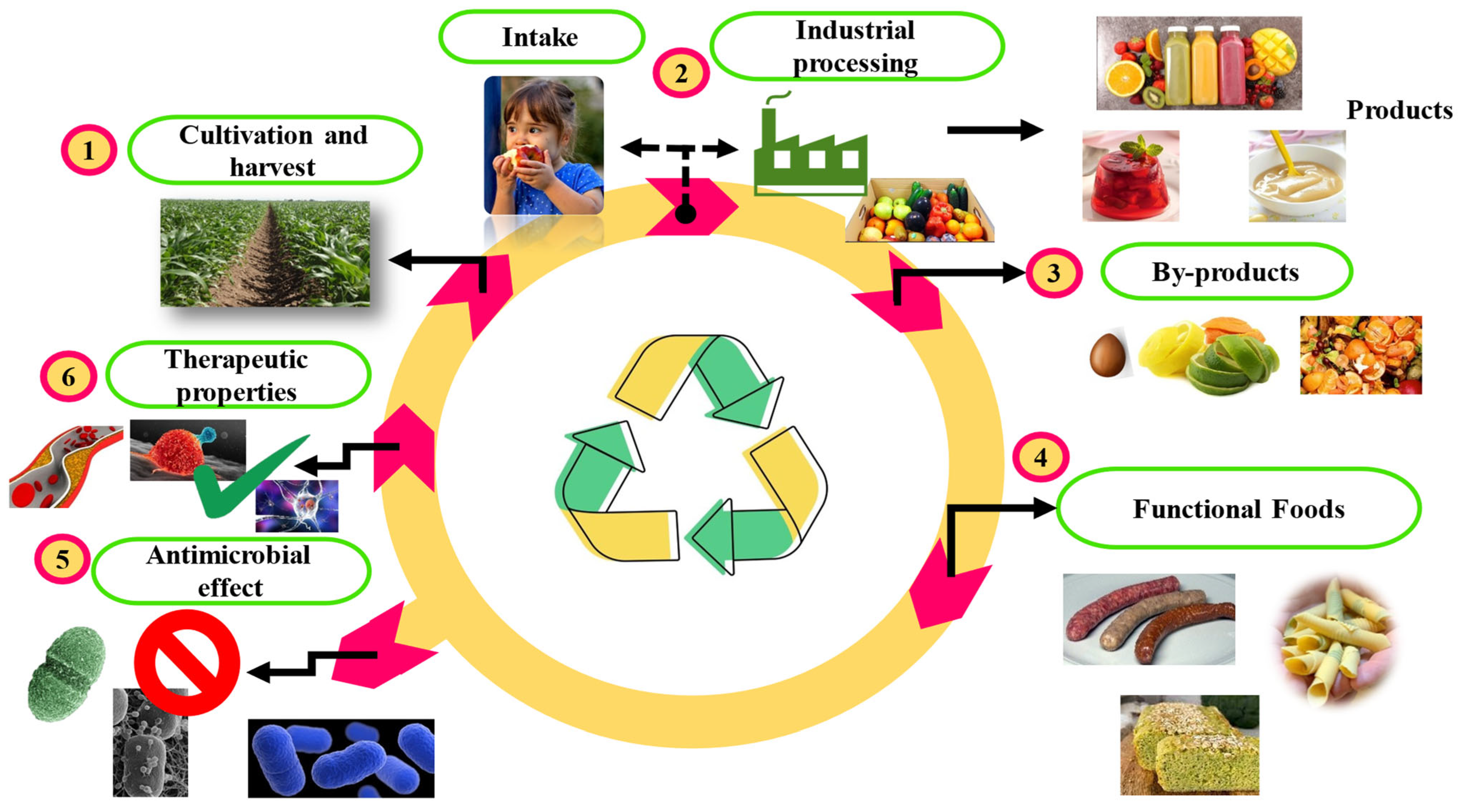 Biomolecules 14 00762 g001