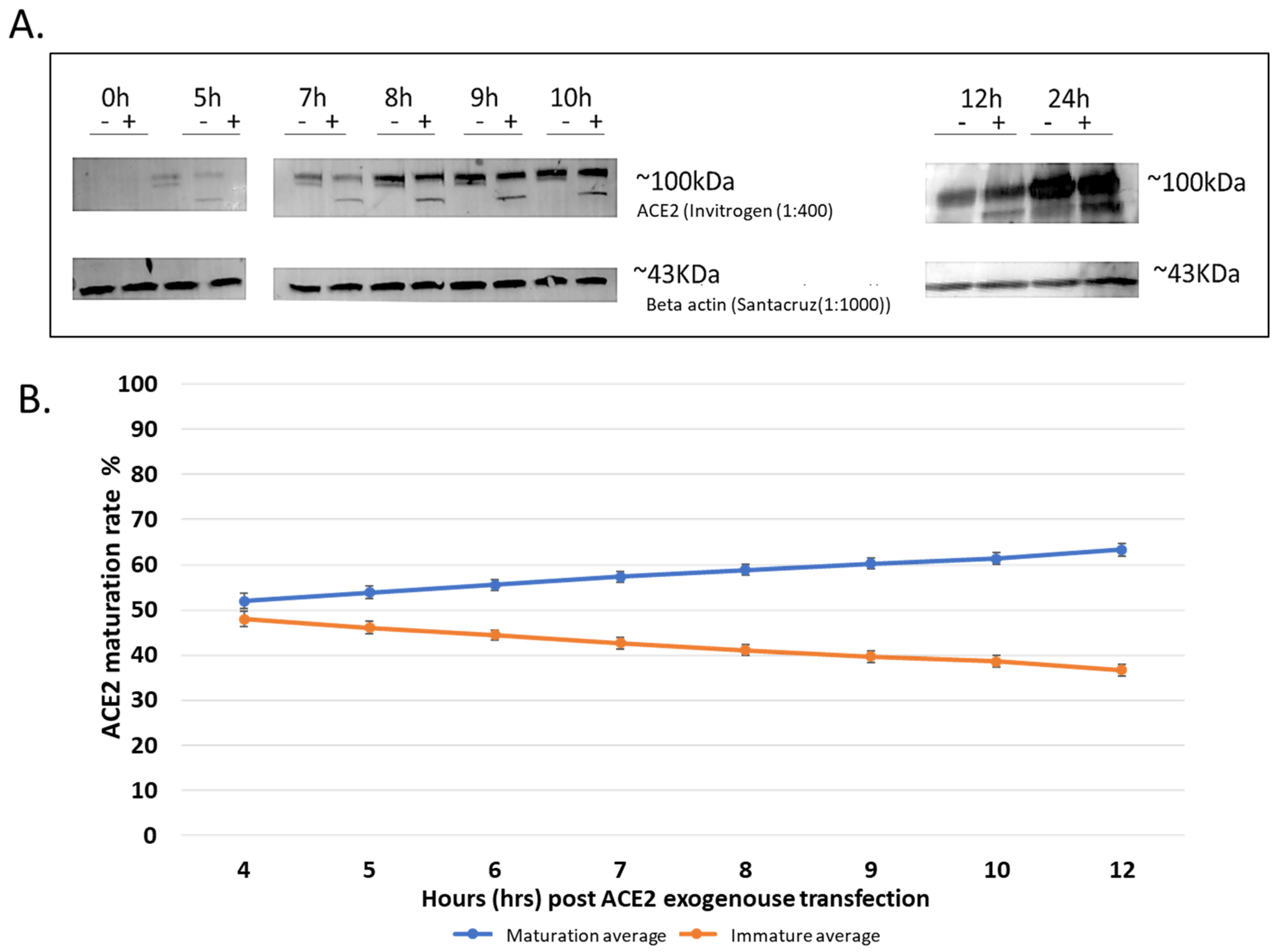 Biomolecules 14 00764 g001