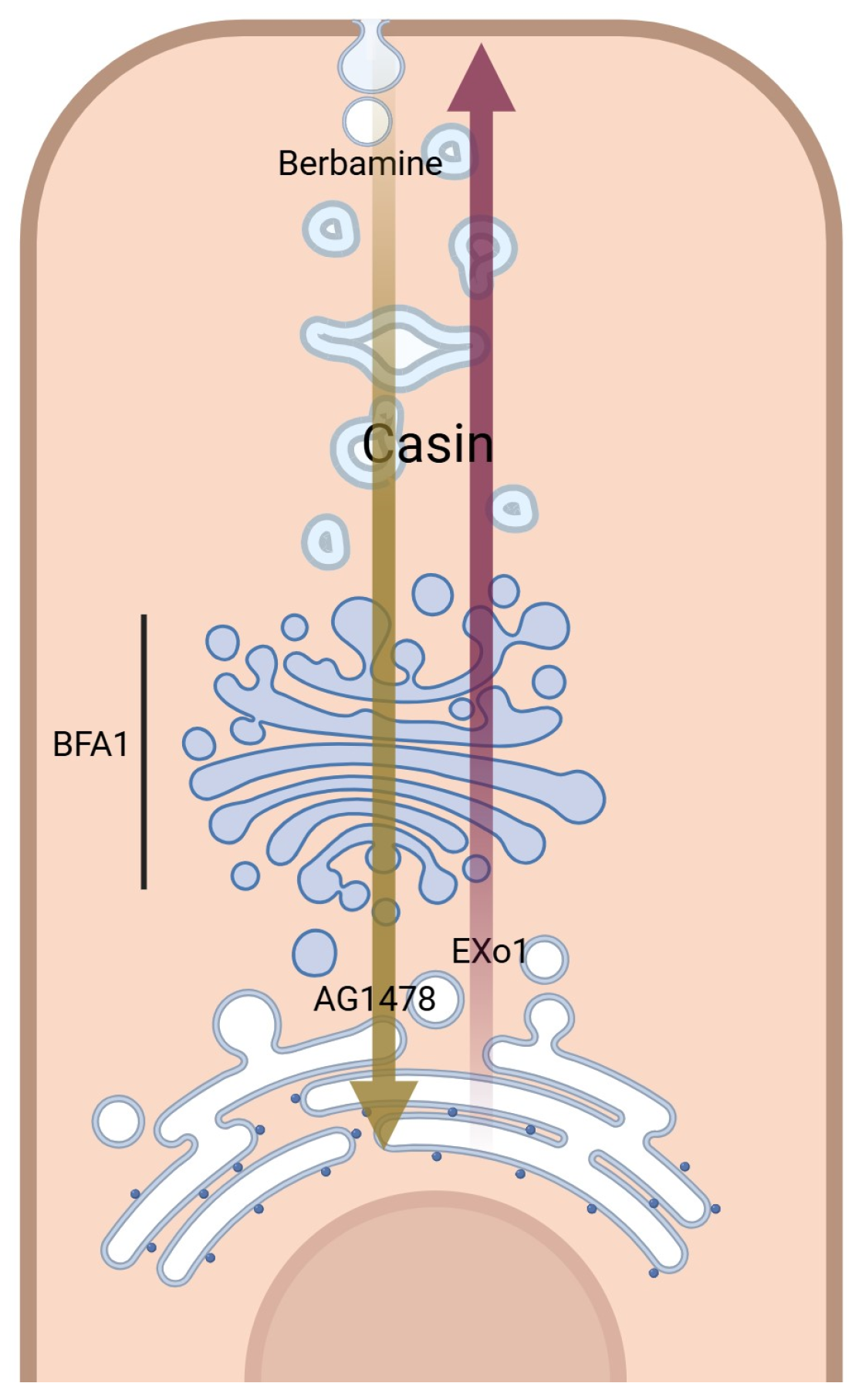 Biomolecules 14 00764 g007