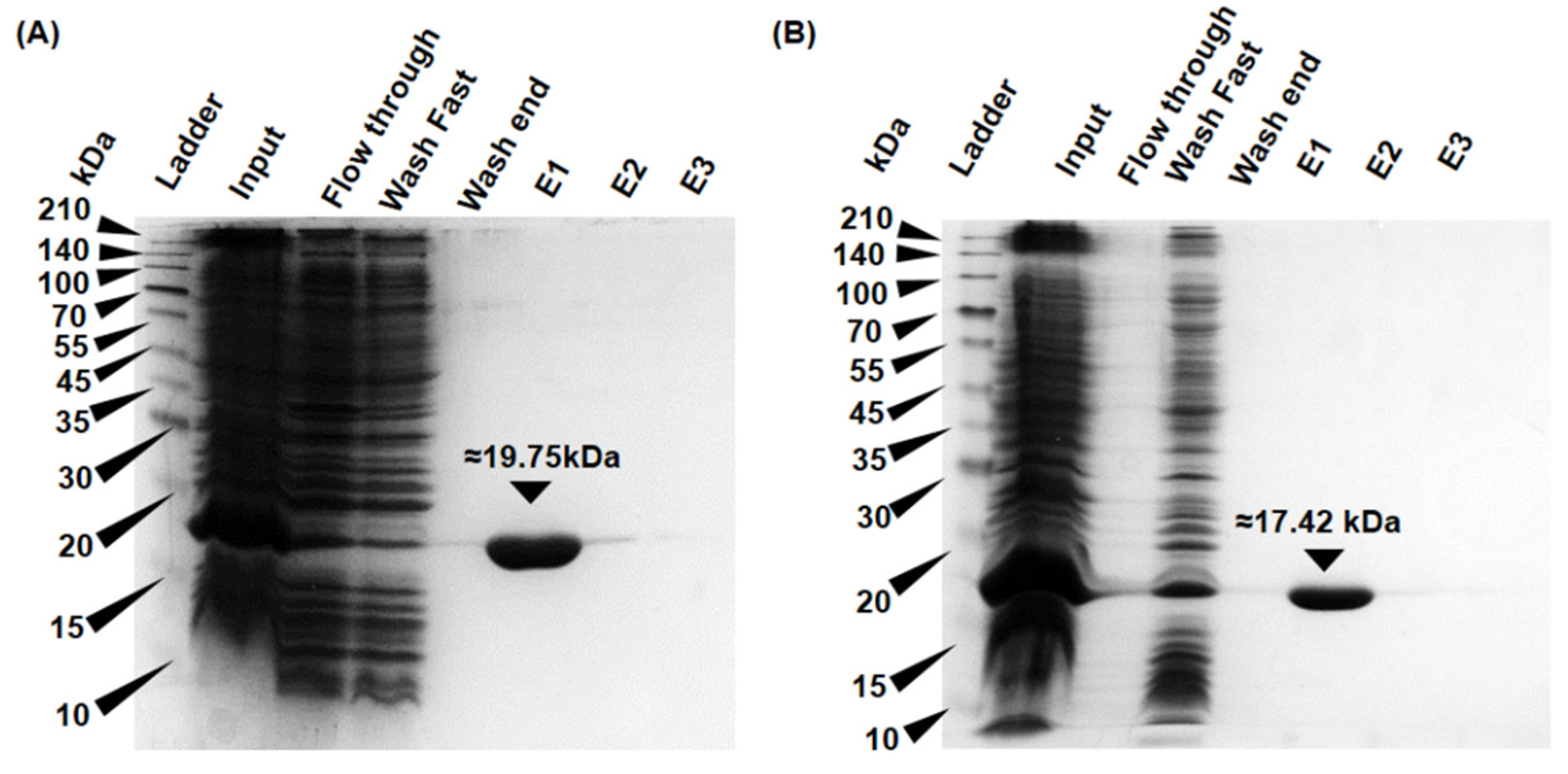 Biomolecules 14 00765 g002
