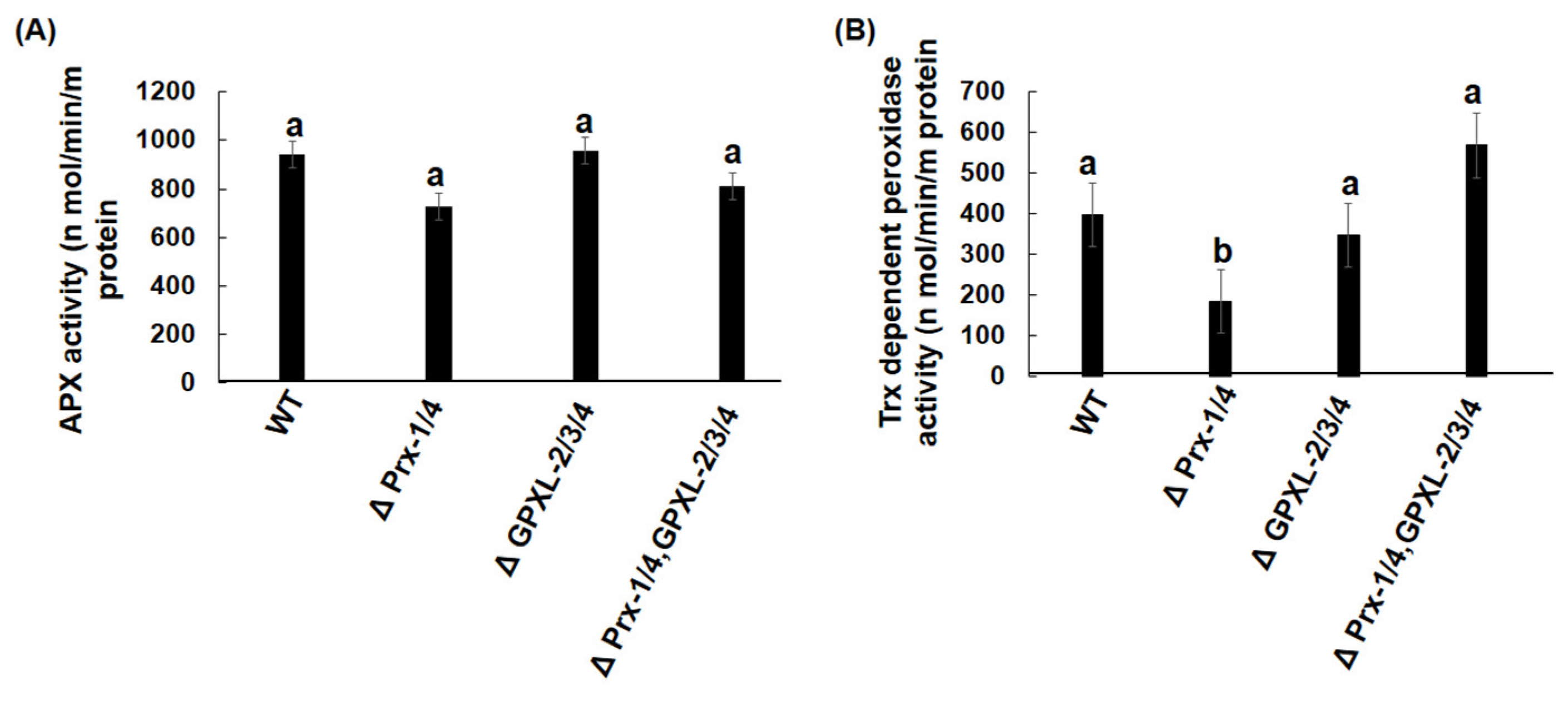 Biomolecules 14 00765 g009