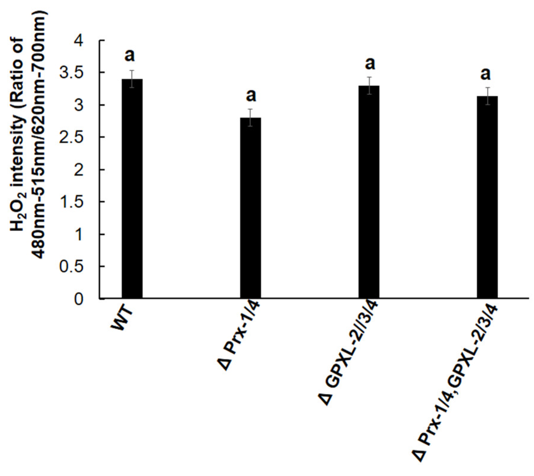 Biomolecules 14 00765 g012