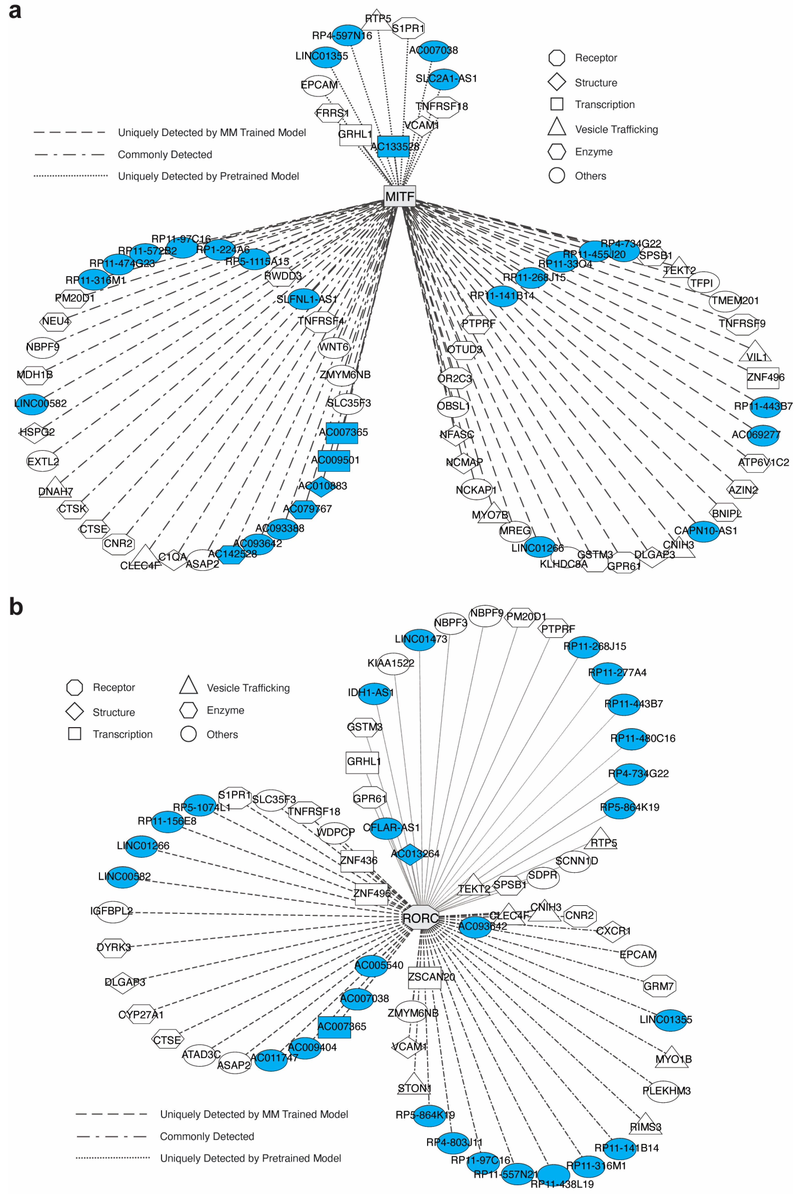 Biomolecules 14 00766 g005