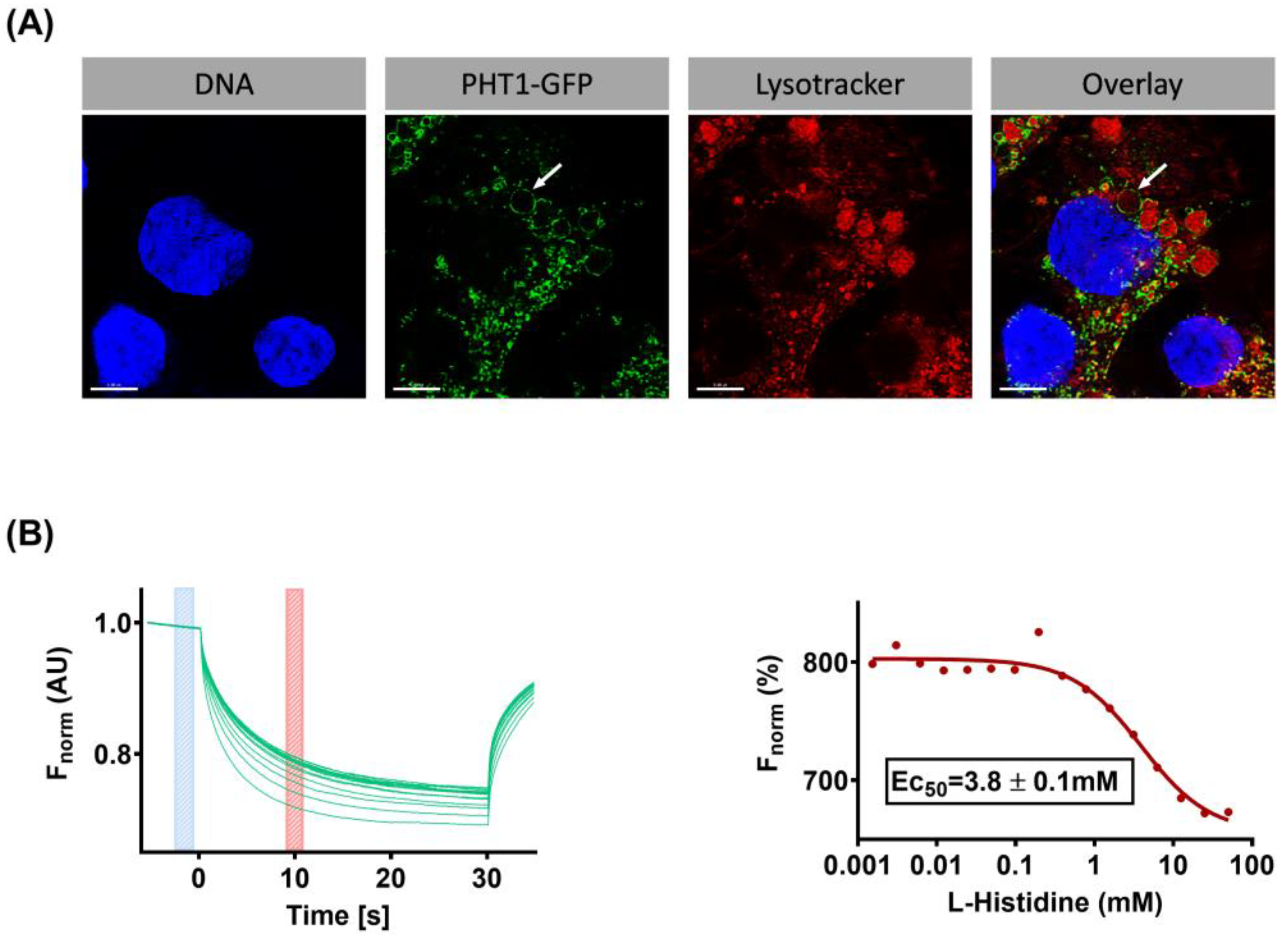 Biomolecules 14 00771 g001