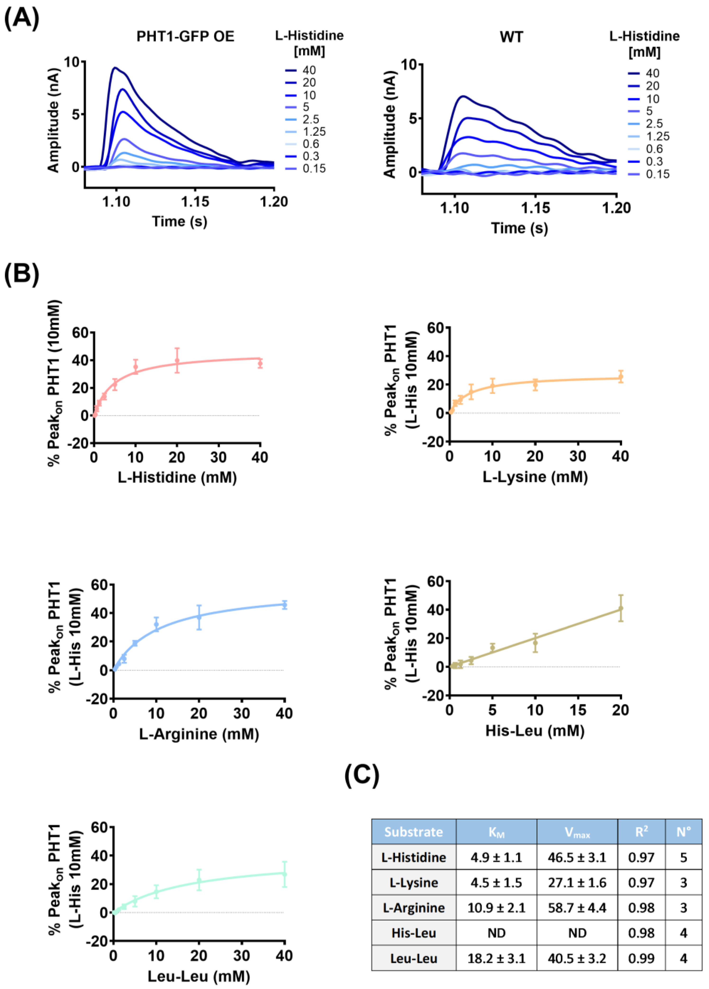 Biomolecules 14 00771 g005