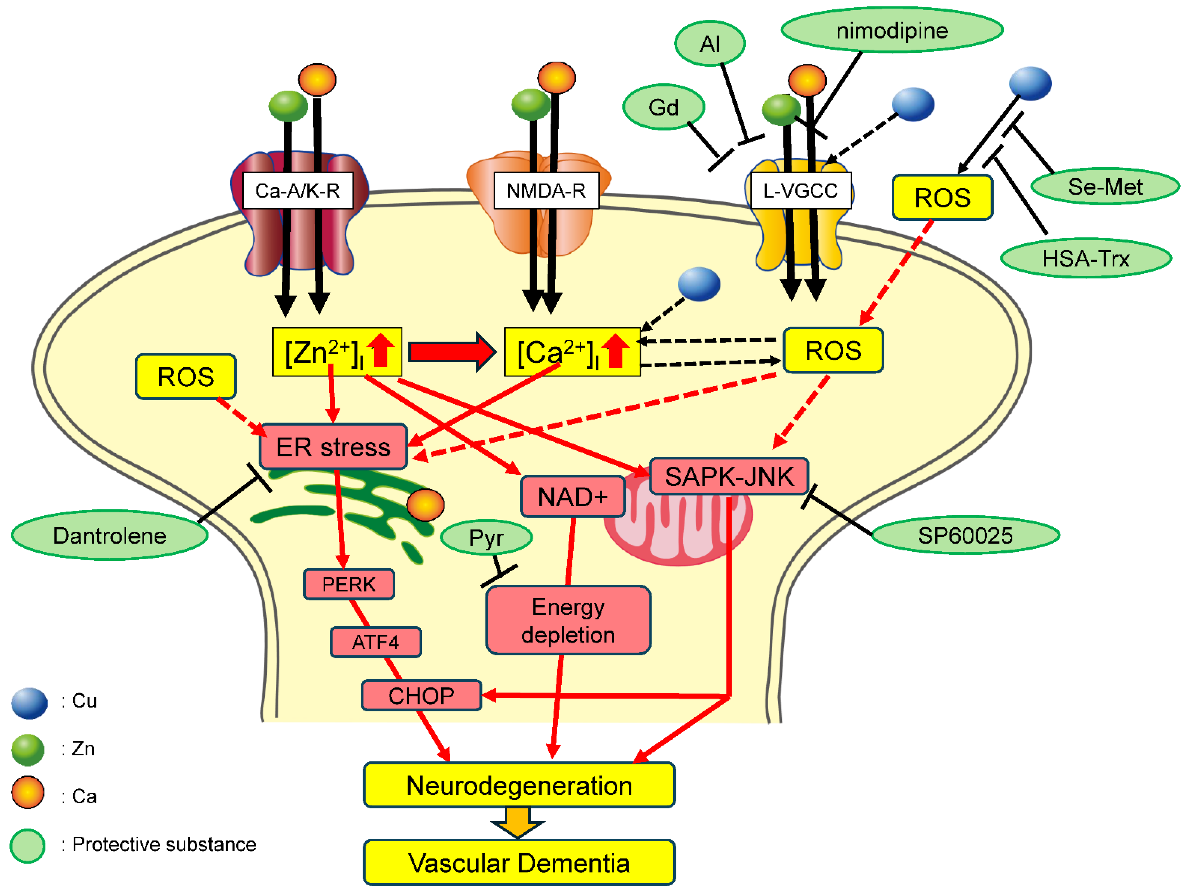 Biomolecules 14 00773 g004