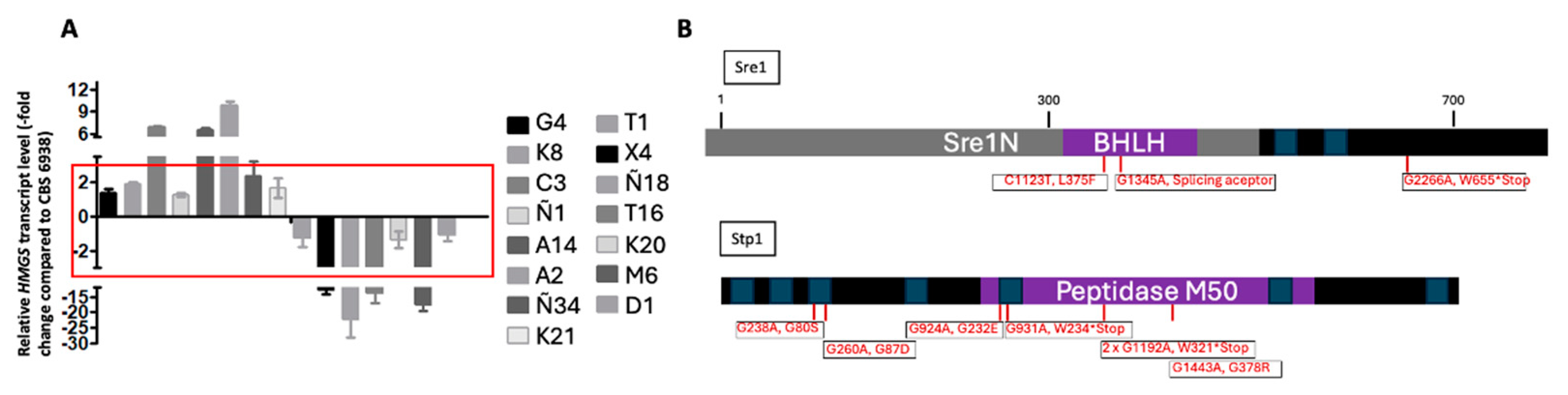 Biomolecules 14 00778 g003