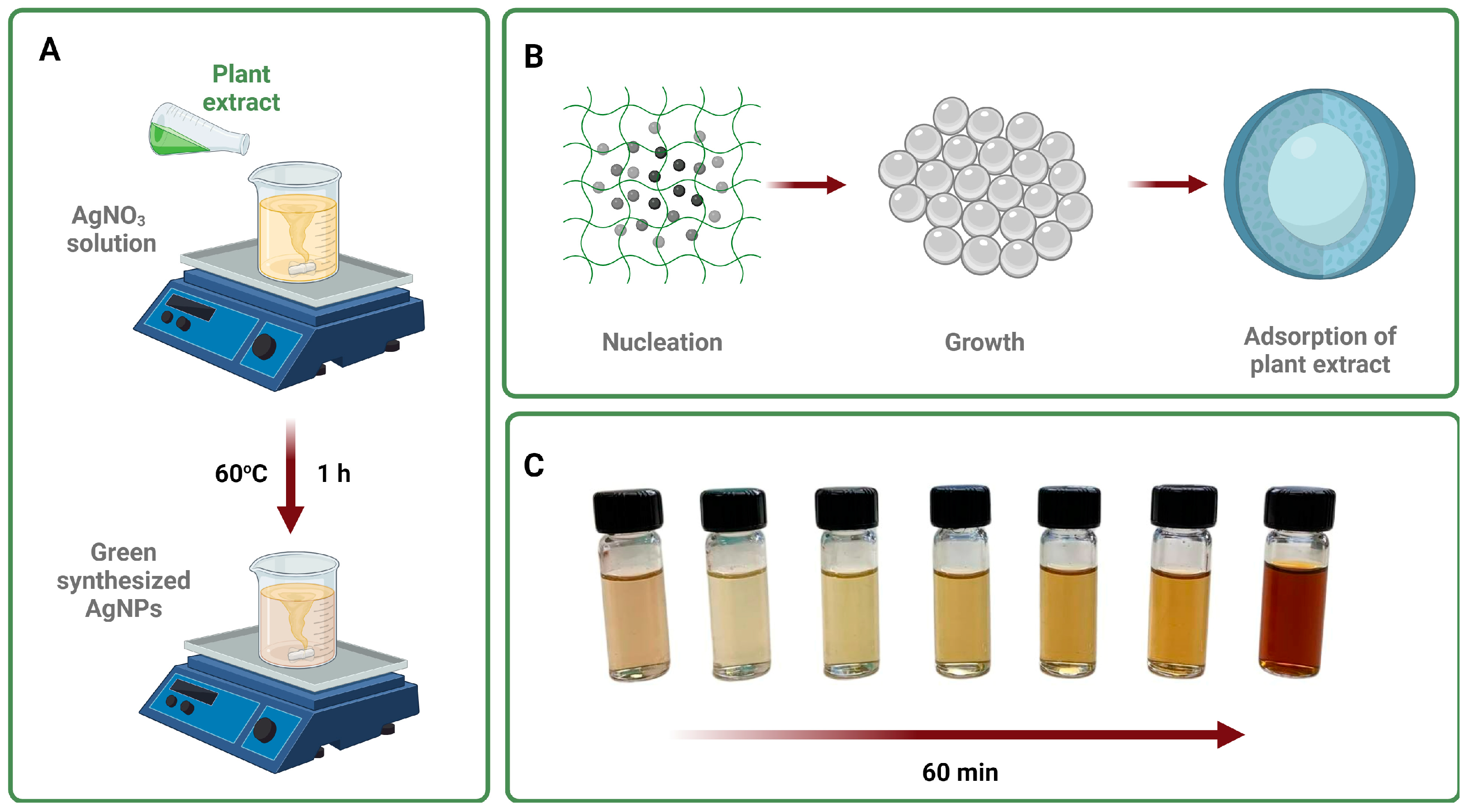 Biomolecules 14 00782 g001