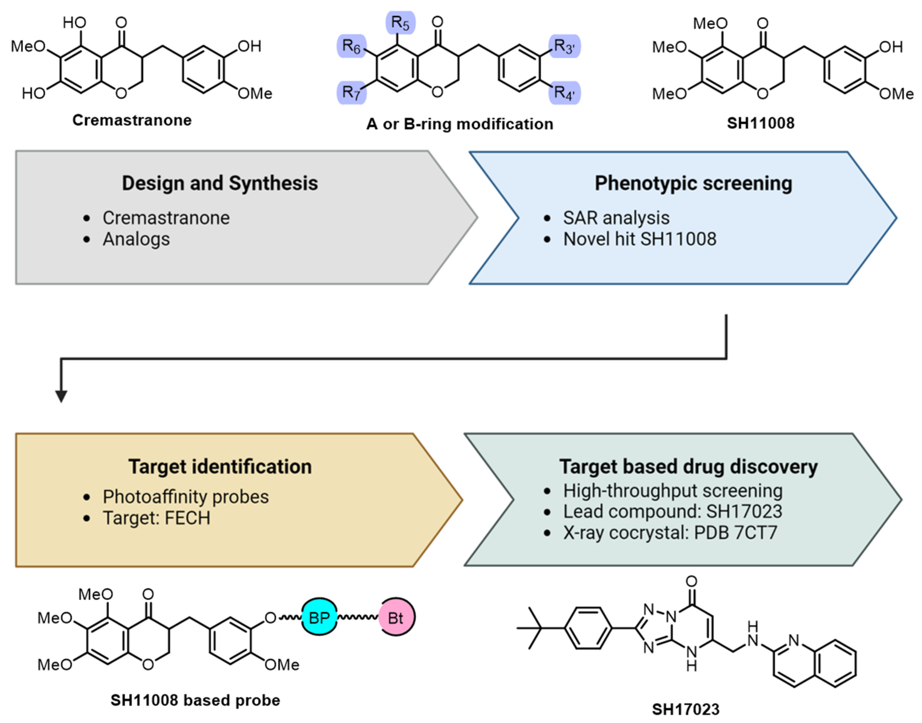 Biomolecules 14 00785 g007