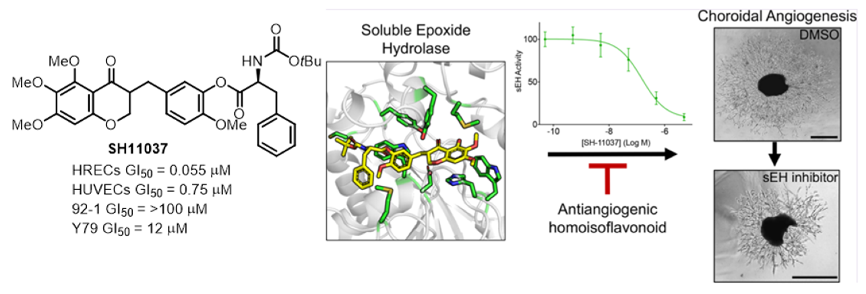 Biomolecules 14 00785 g008