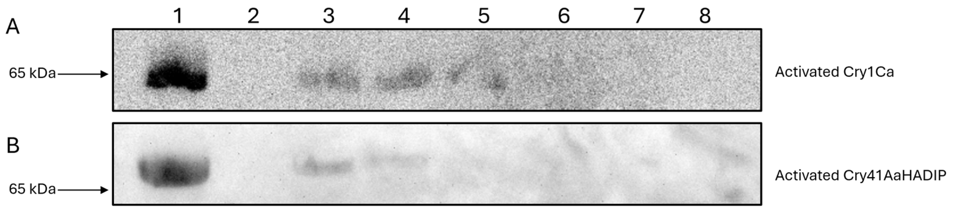 Biomolecules 14 00795 g007