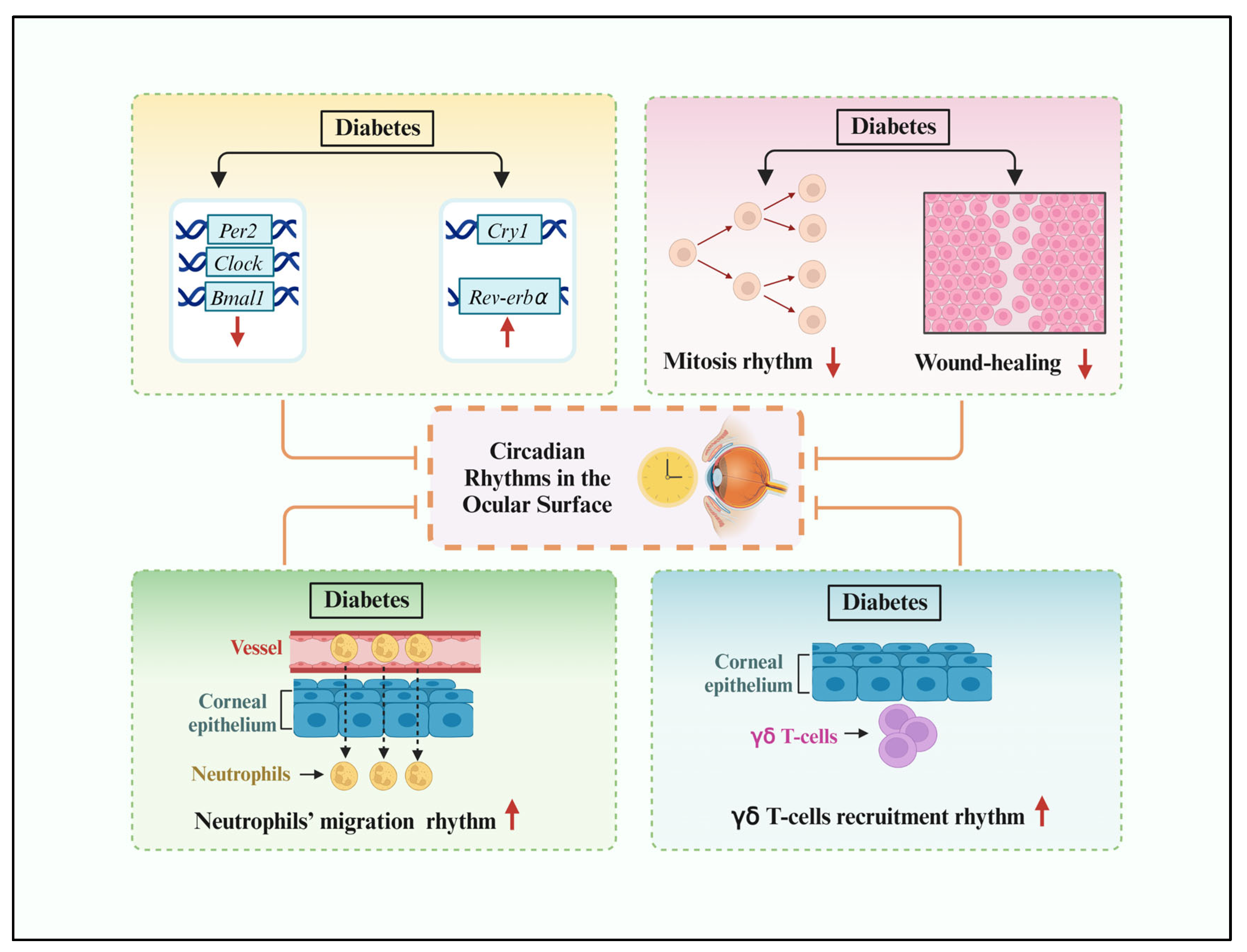 Biomolecules 14 00796 g002 Biomolecules 14 00796 g002