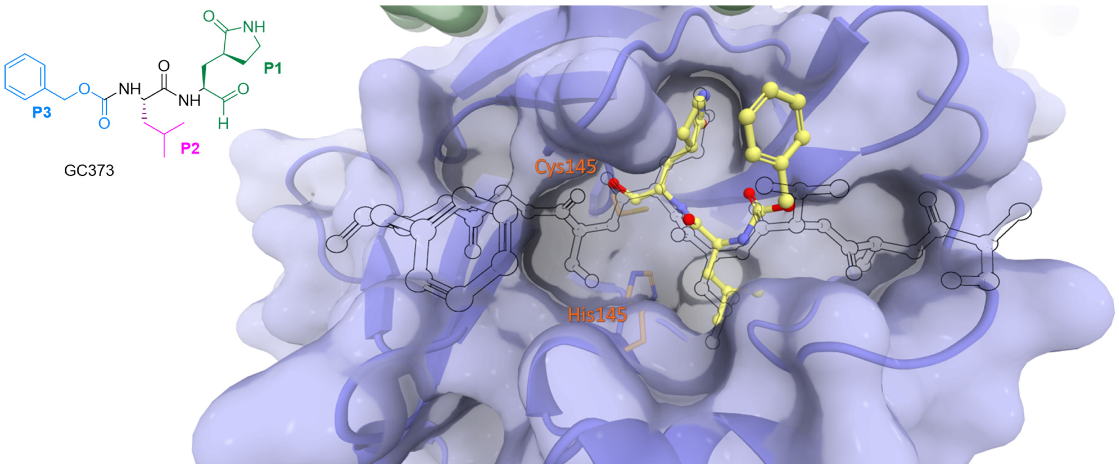 Biomolecules 14 00797 g009