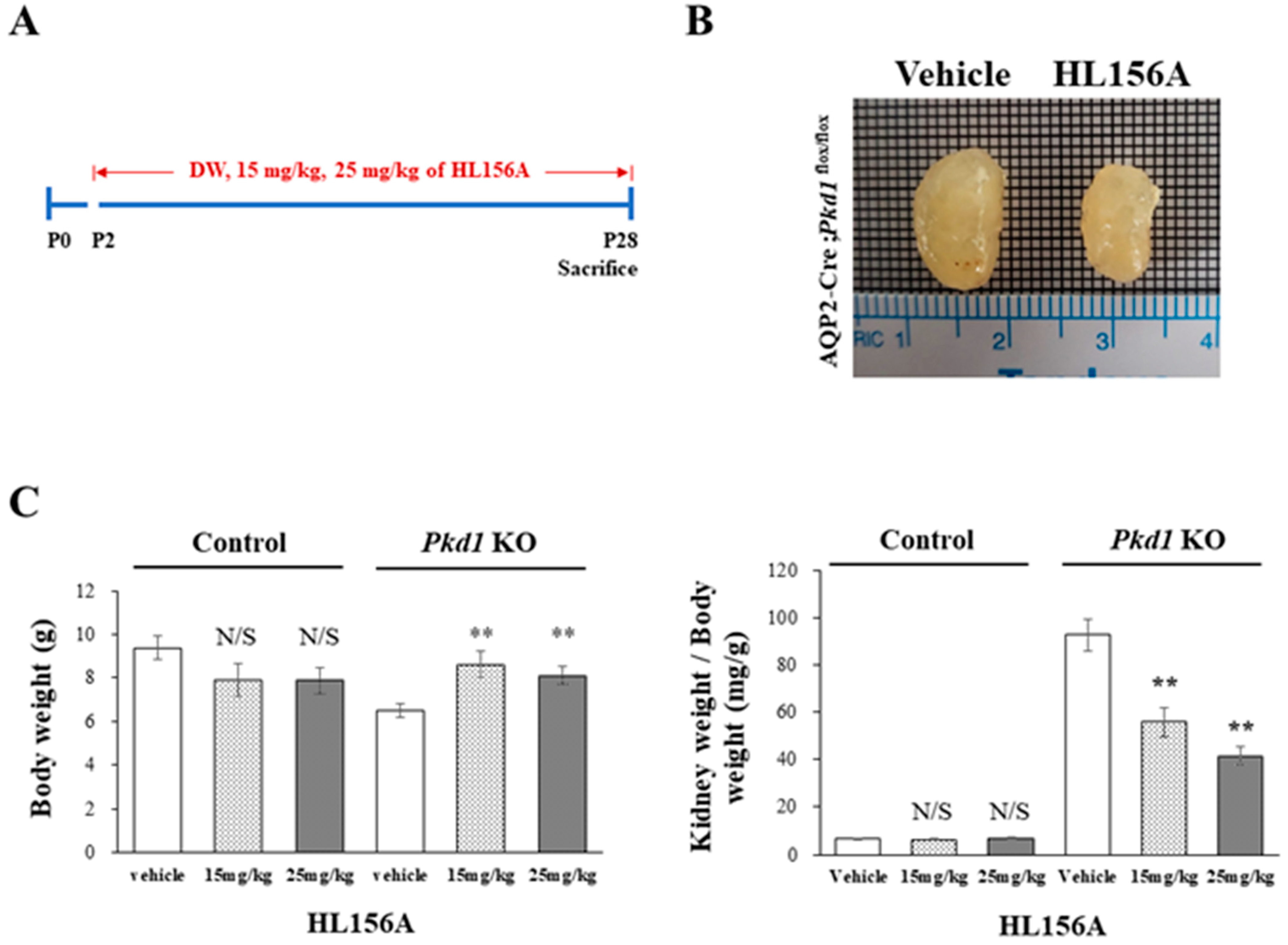Biomolecules 14 00806 g003 Biomolecules 14 00806 g003