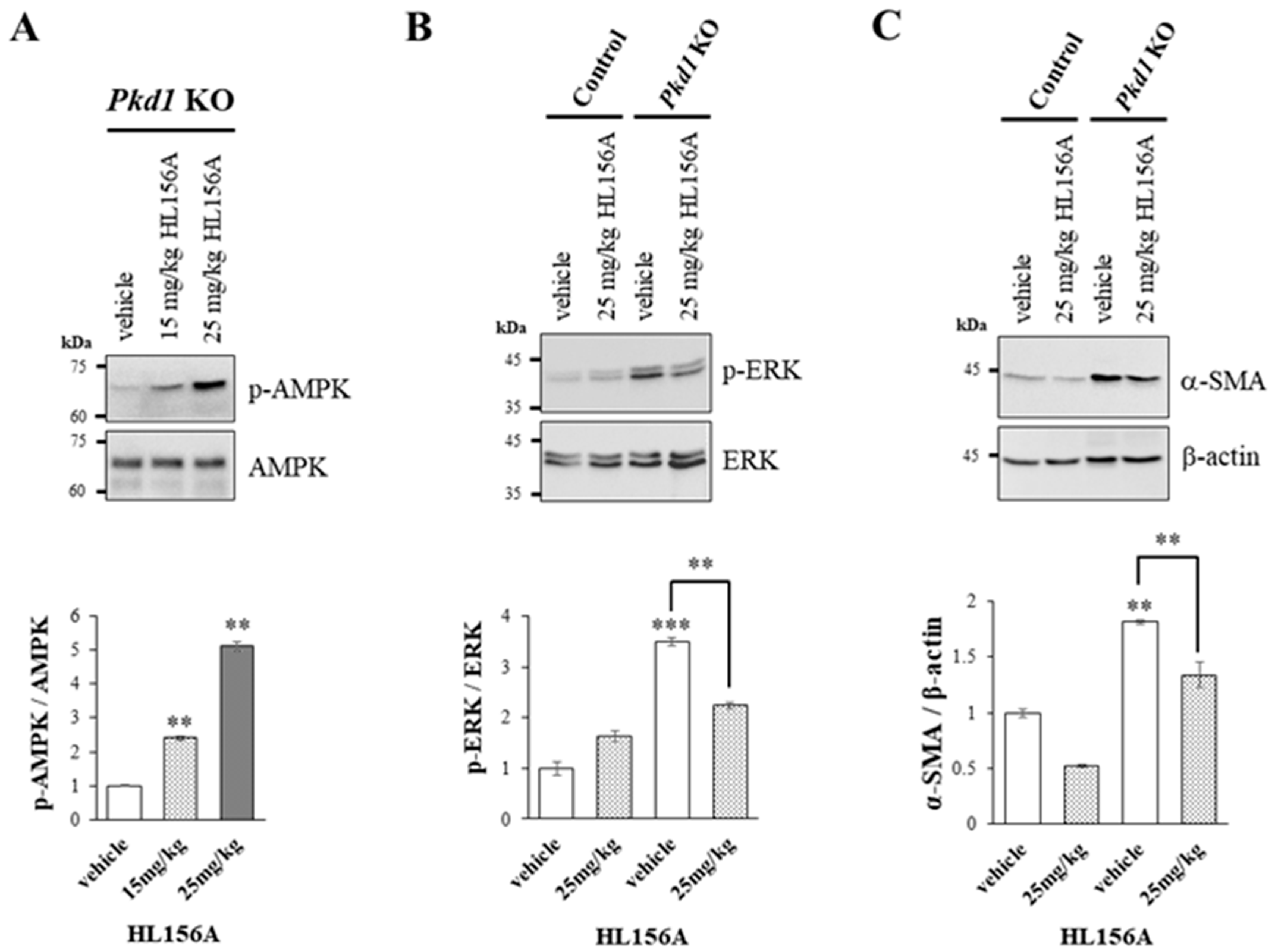 Biomolecules 14 00806 g005 Biomolecules 14 00806 g005