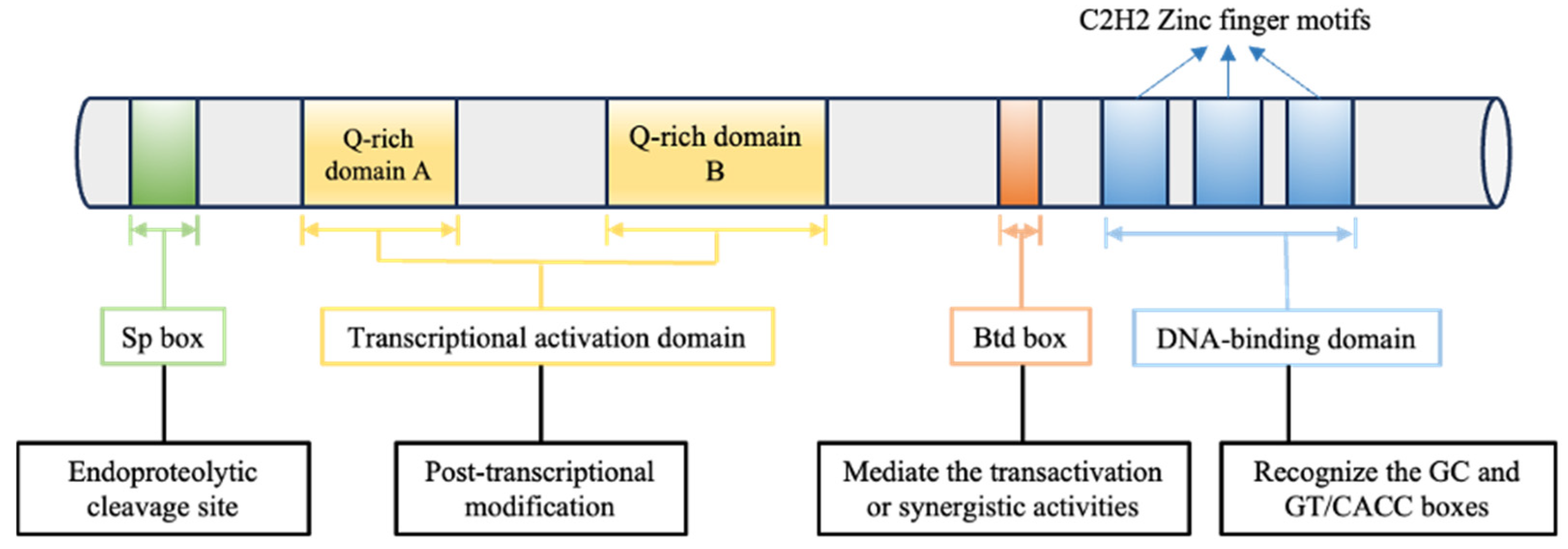 Biomolecules 14 00807 g001 Biomolecules 14 00807 g001