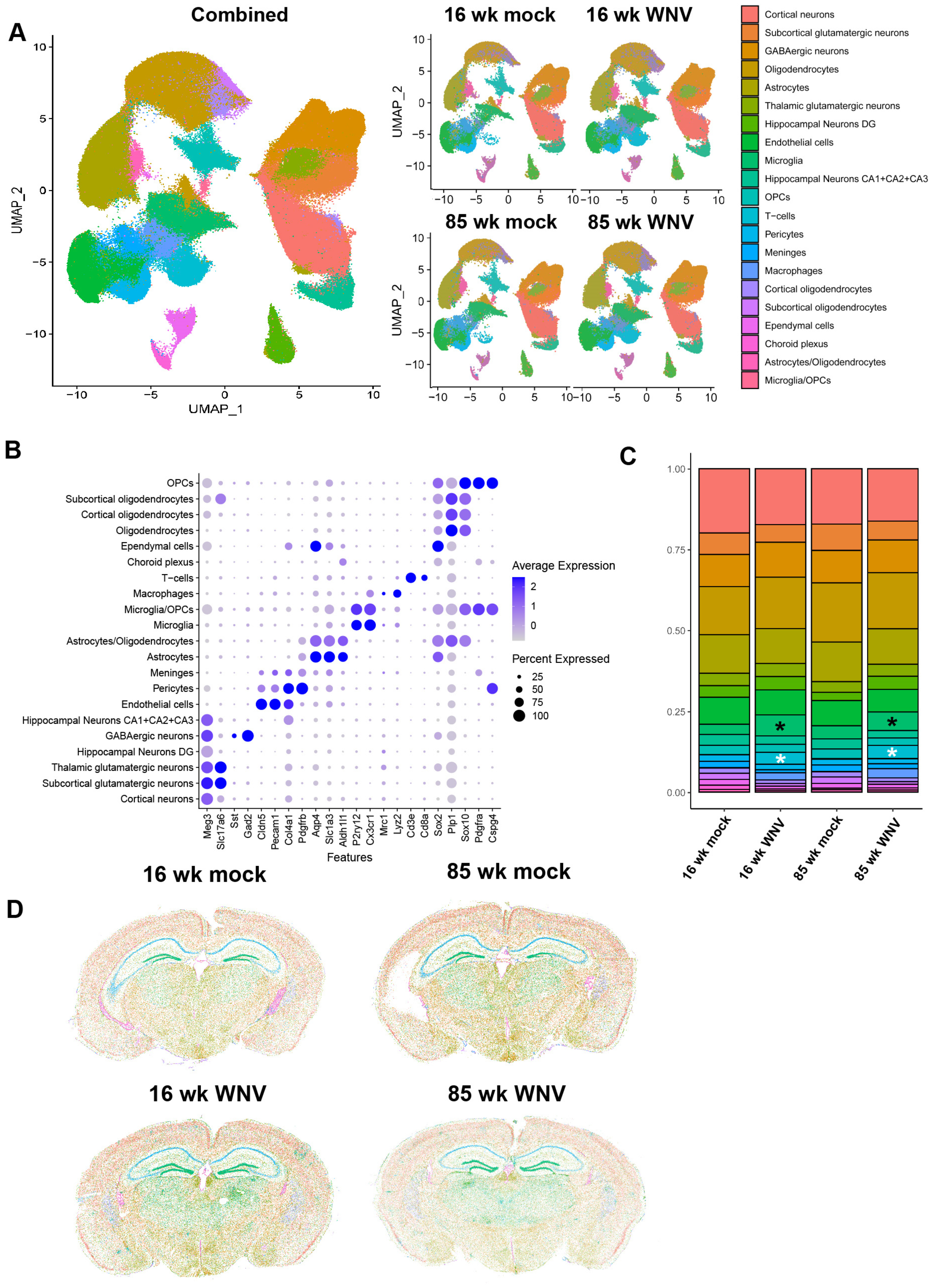 DNA / SCATTER THE BRAIN ジャパメタ VIRUS Zika Virus Targets Glioblastoma Stem Cells through a SOX2