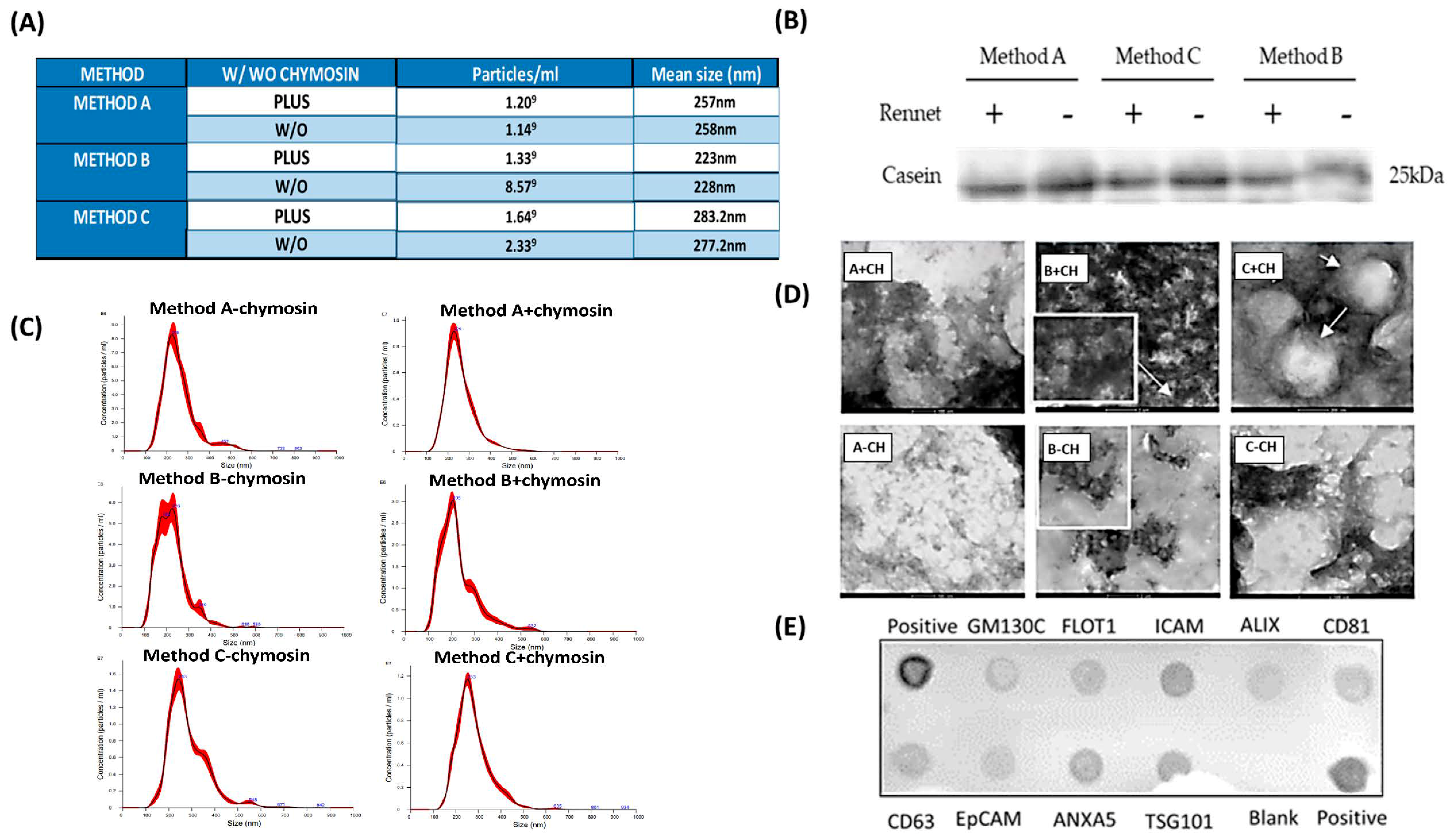 Biomolecules 14 00810 g006