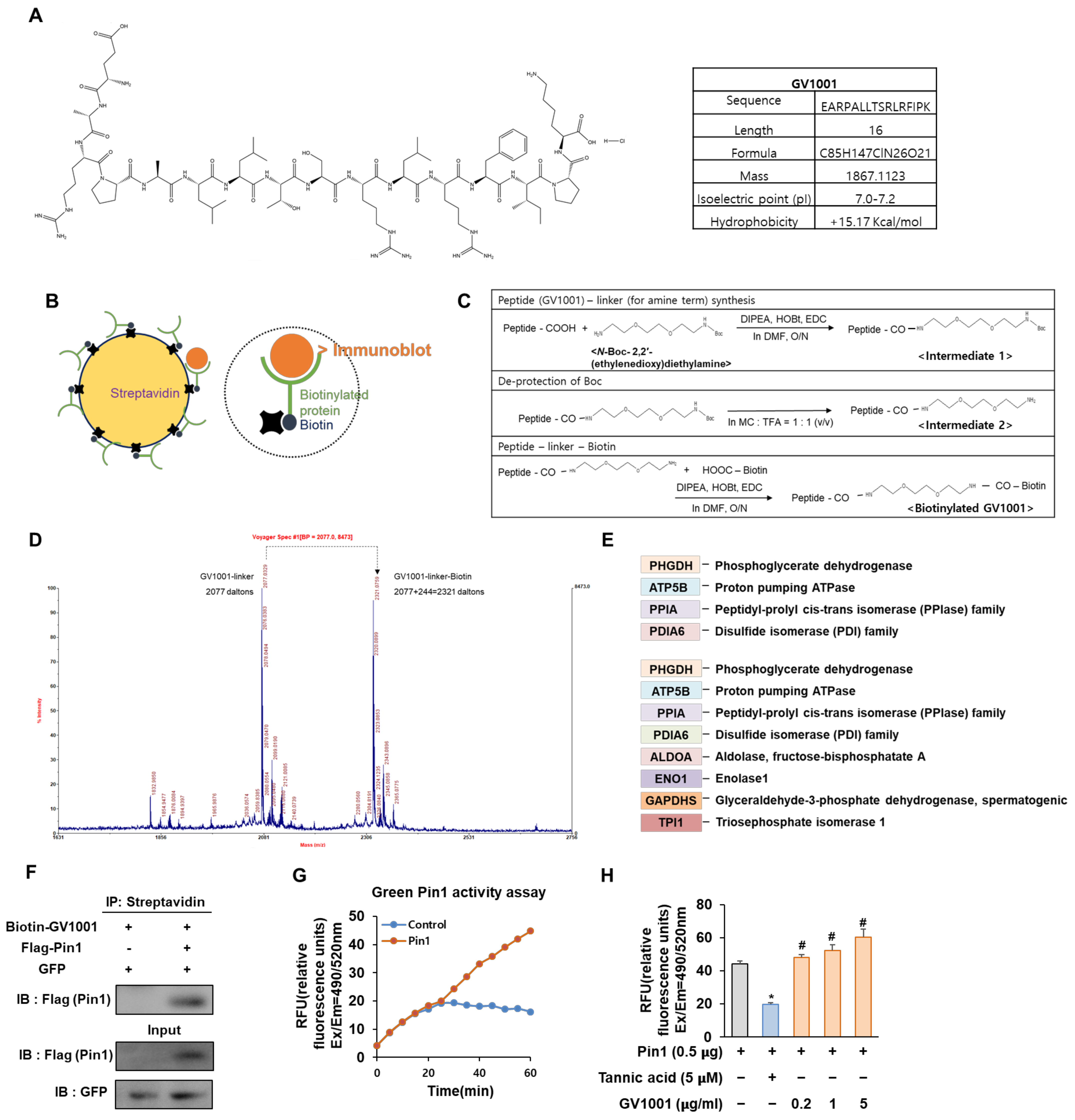 Biomolecules 14 00812 g001