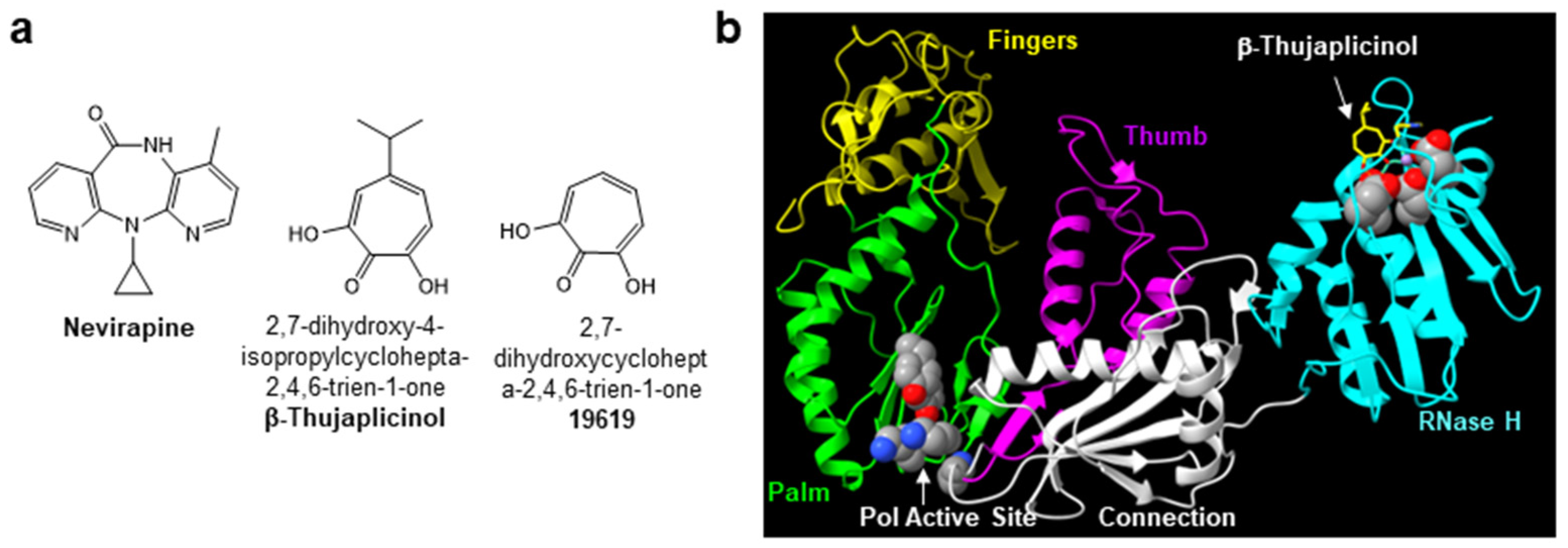 Biomolecules 14 00819 g001