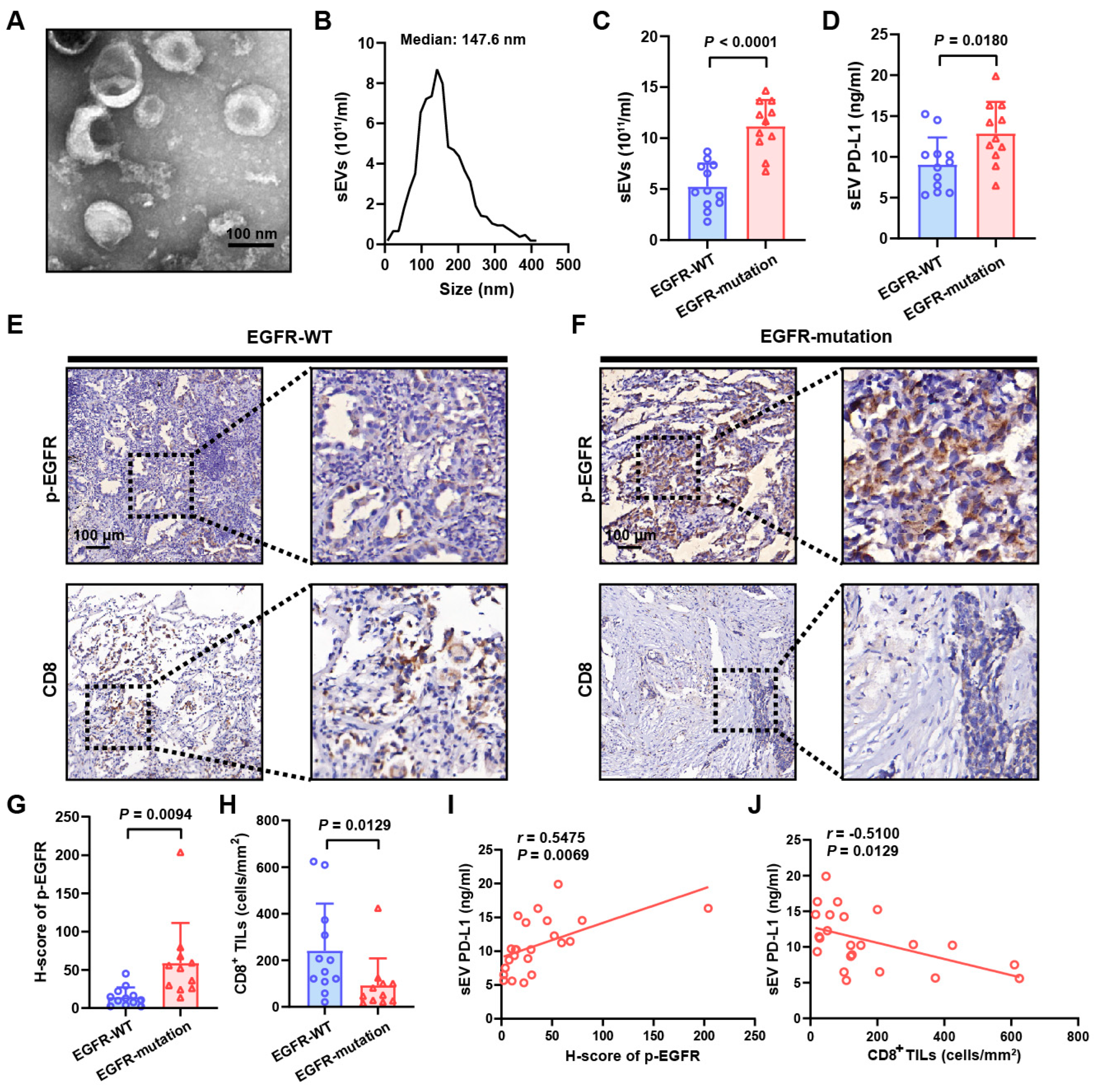 Biomolecules 14 00820 g001