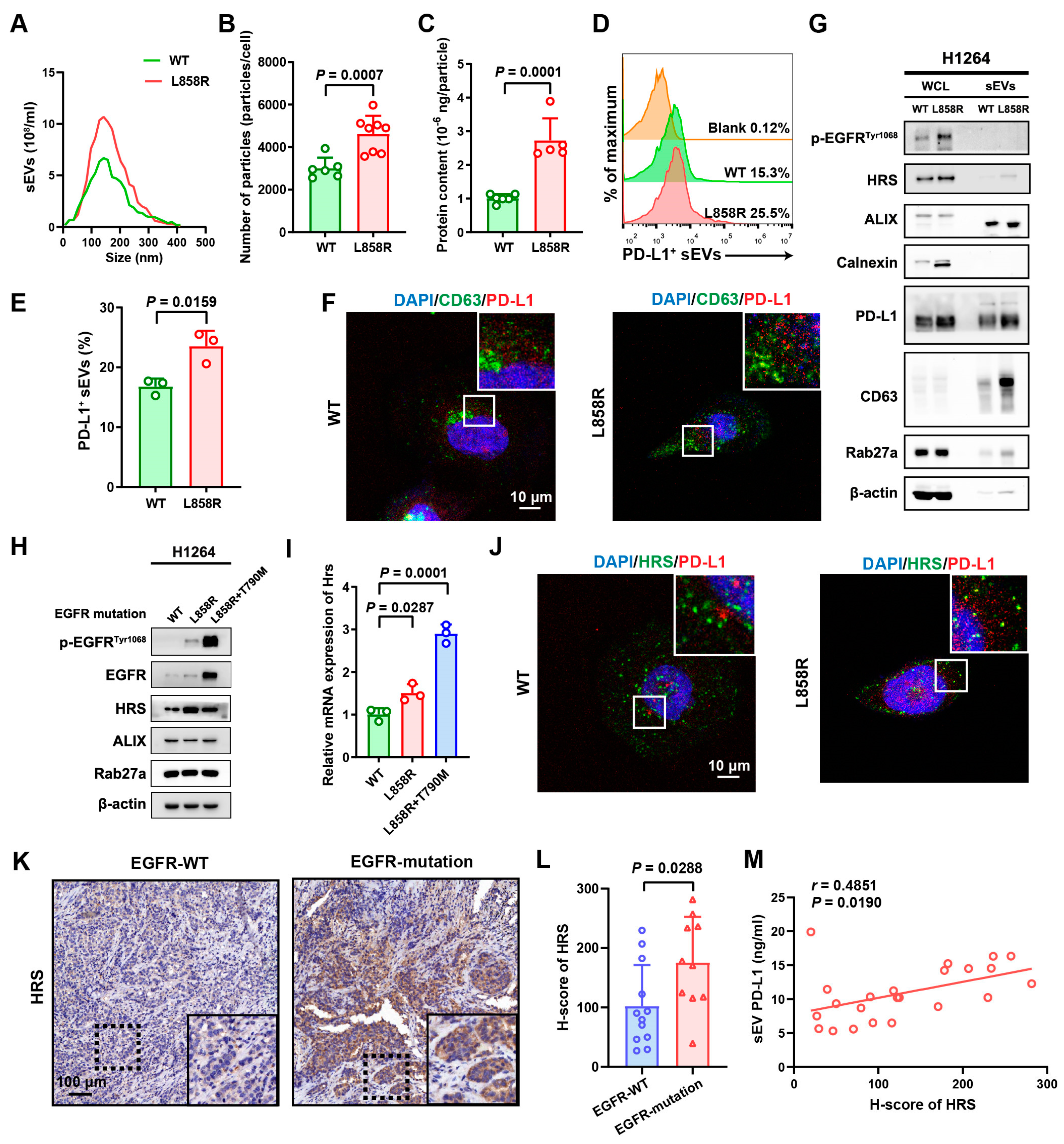 Biomolecules 14 00820 g002
