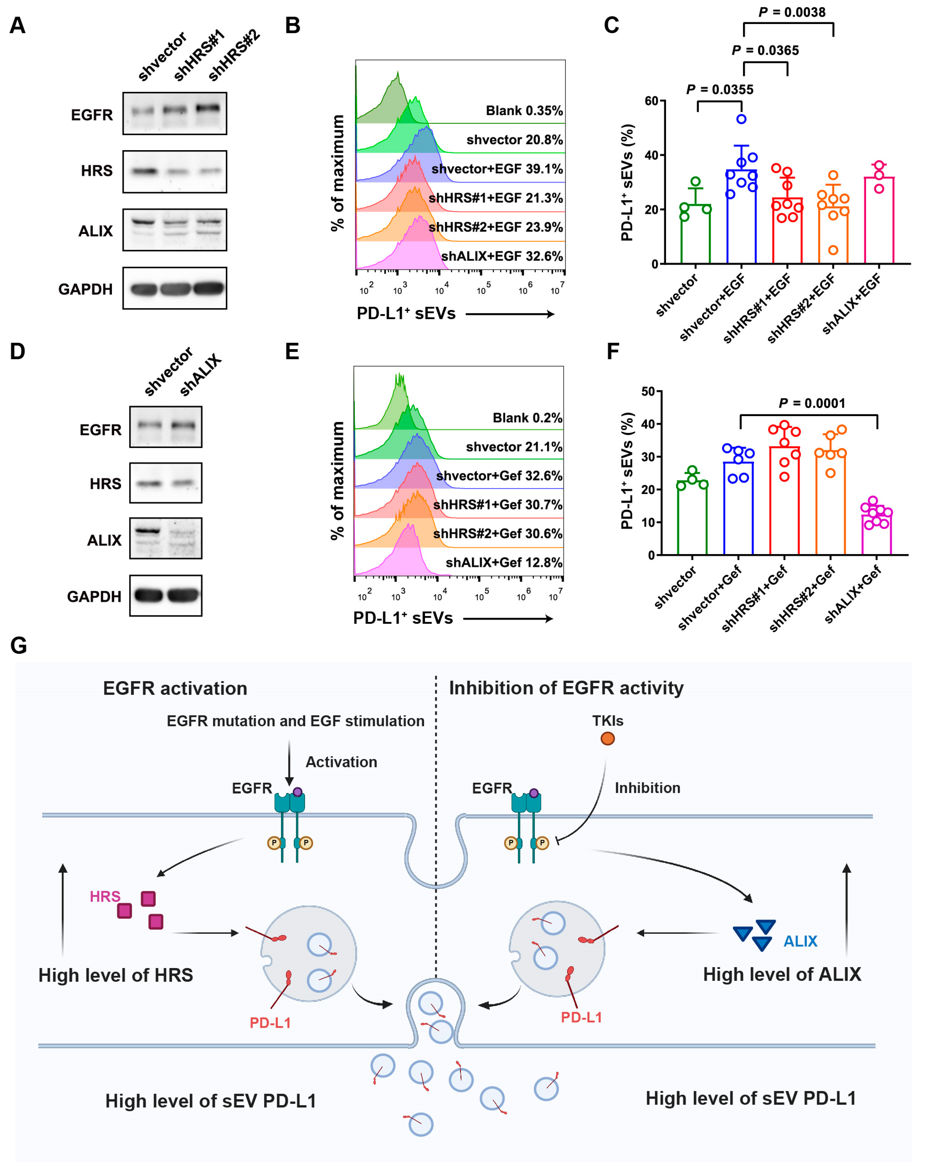 Biomolecules 14 00820 g005