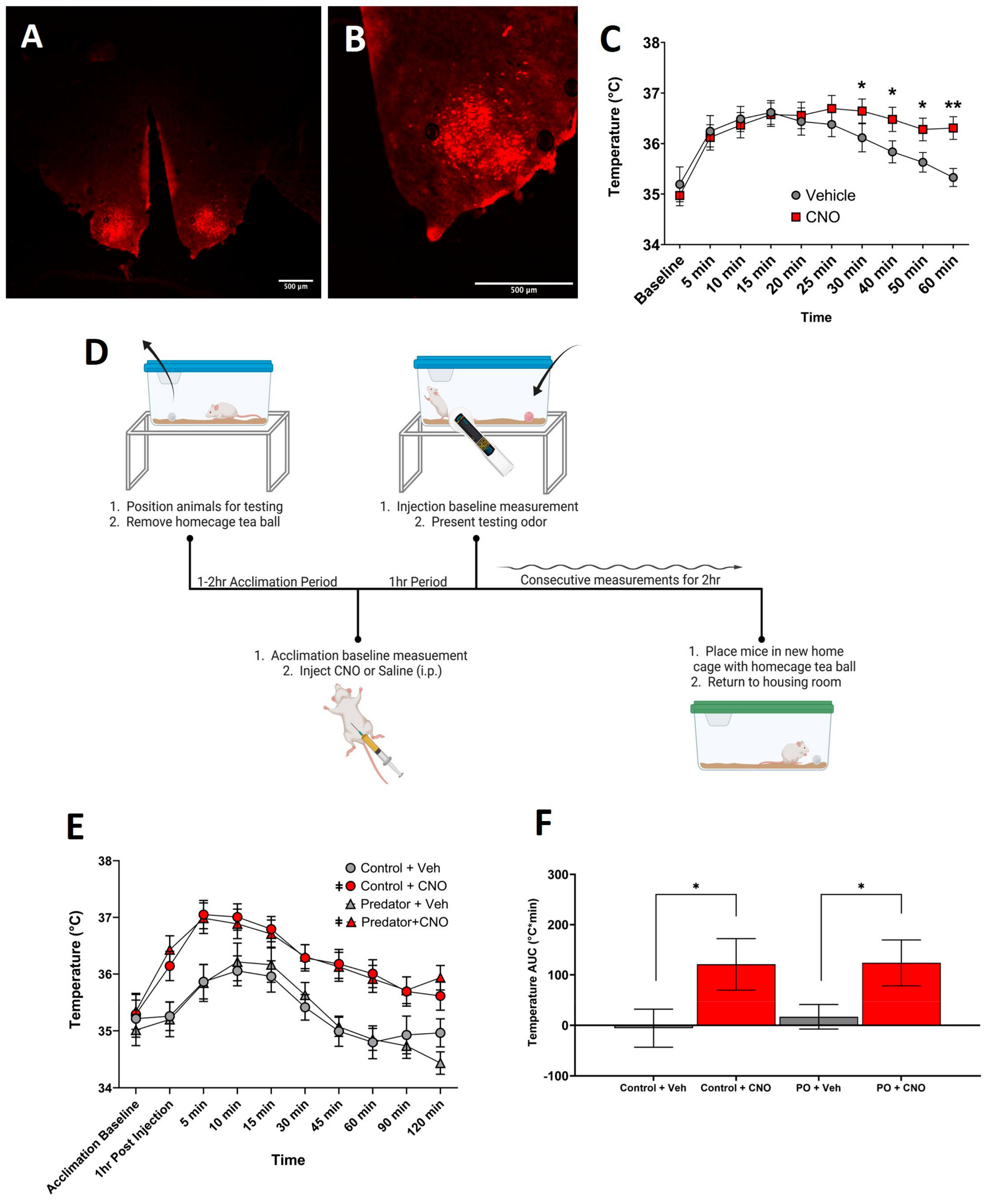 Biomolecules 14 00821 g001 Biomolecules 14 00821 g001