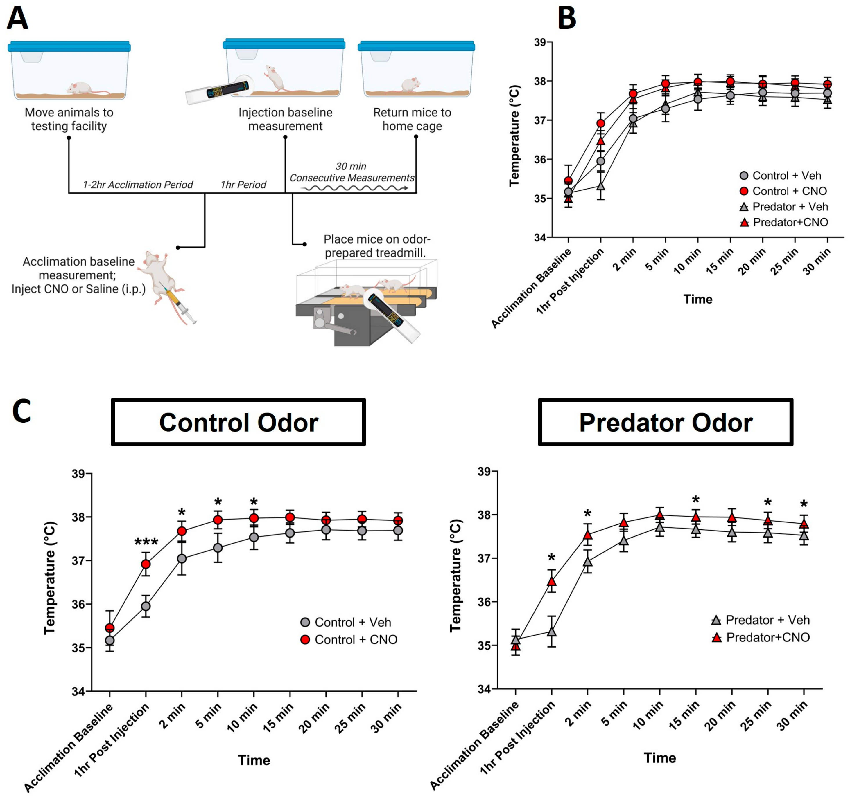 Biomolecules 14 00821 g002 Biomolecules 14 00821 g002