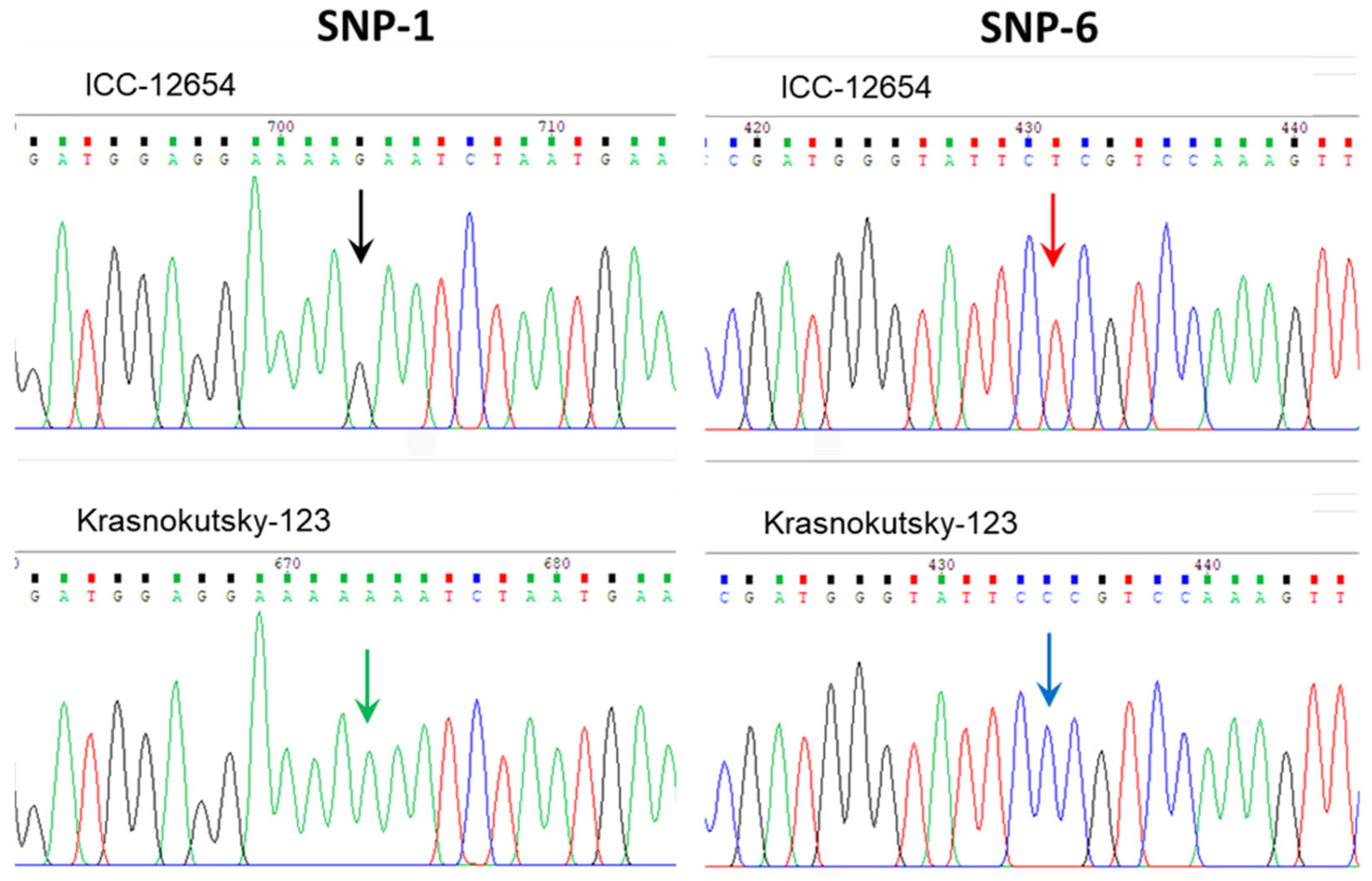 Biomolecules 14 00823 g004