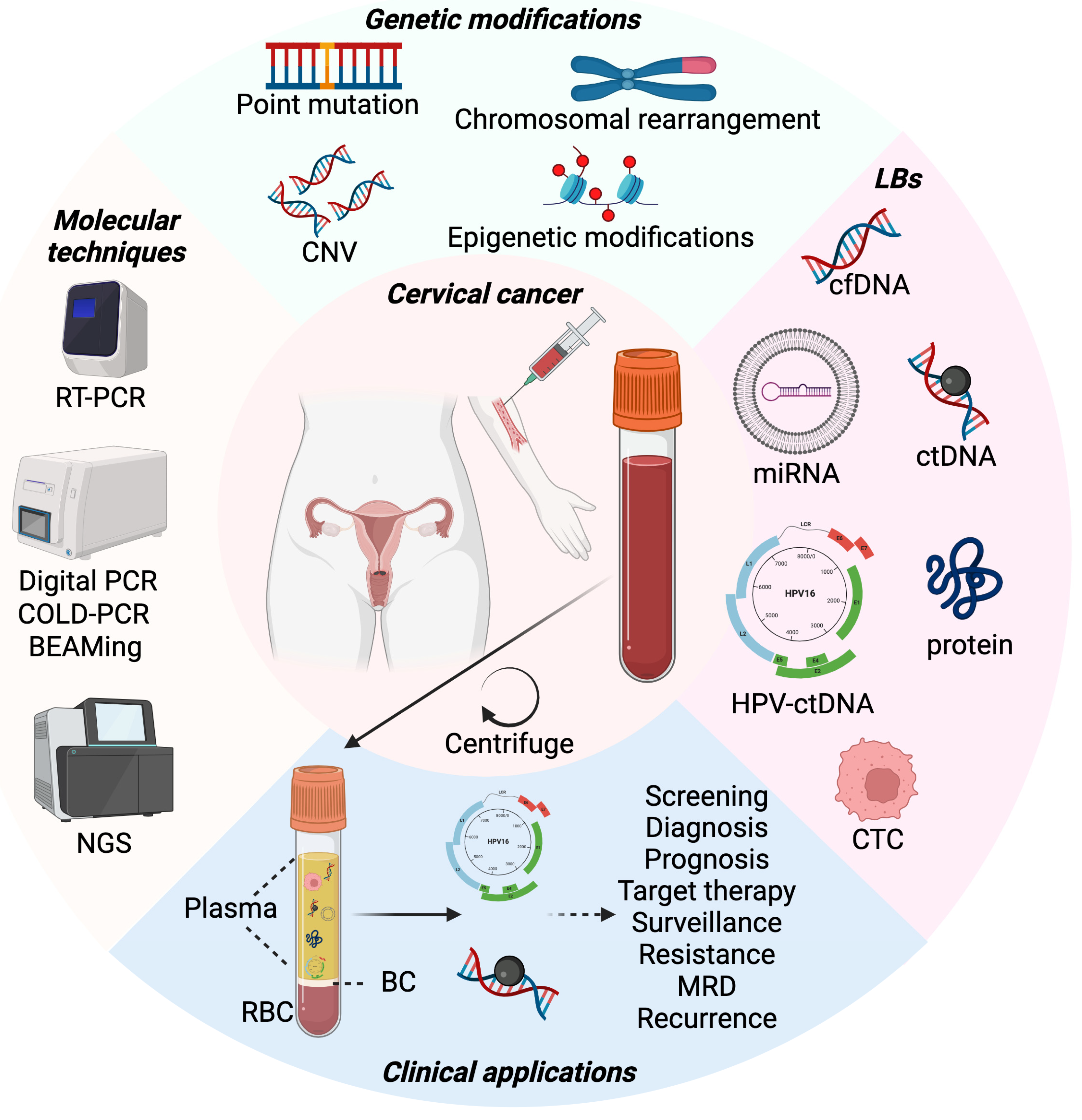 Biomolecules 14 00825 g001 Biomolecules 14 00825 g001